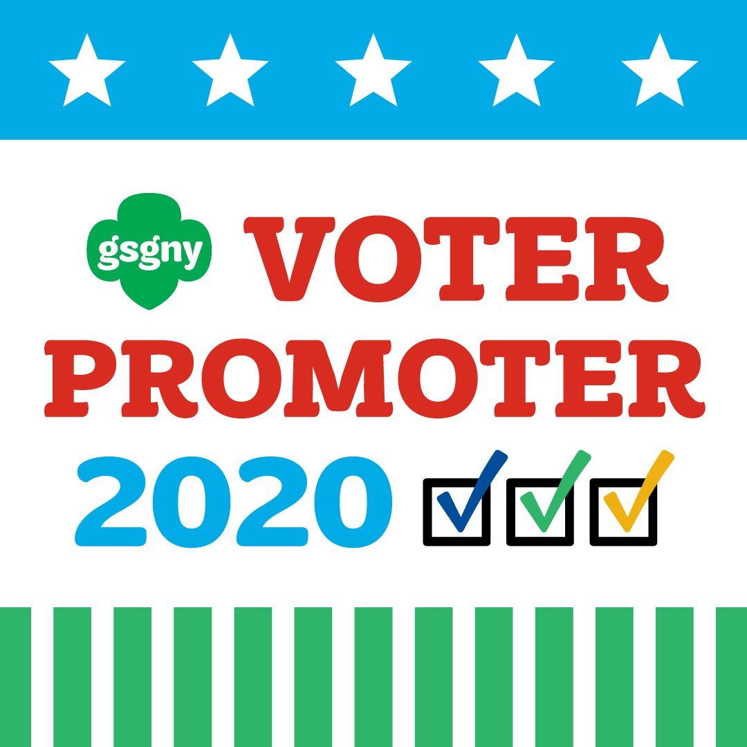 Voter Promoter 2020 campaign for GSGNY