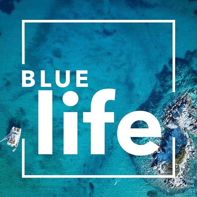 Socially distancing without the negative side effects. All Blue Life Journeys have been updated to address the psychological impact of Covid-19 leveraging the natural healing qualities of the water and alternative healing modalities. As the Mediterra