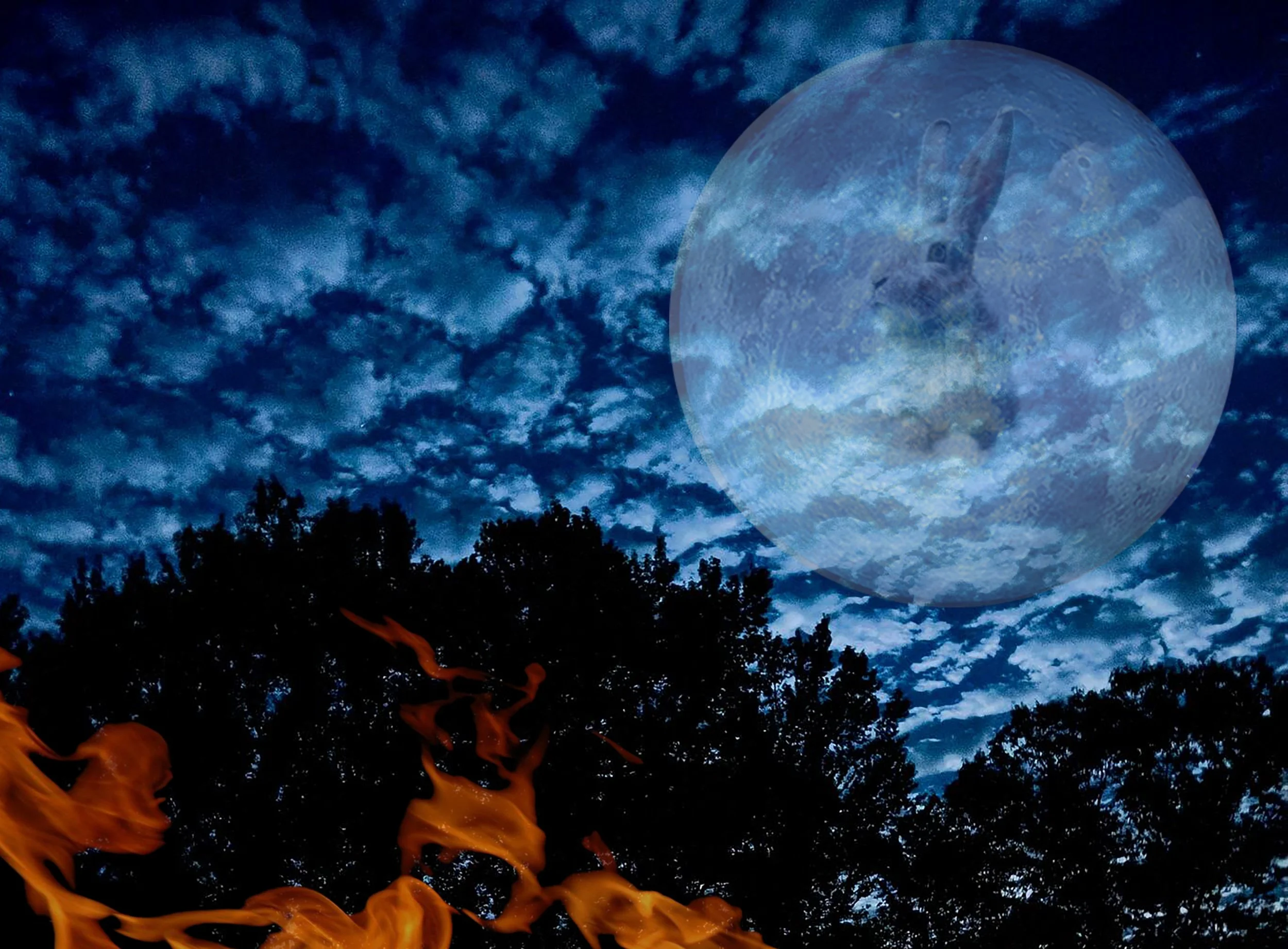 JadeRabbitMyth2 copy.jpg