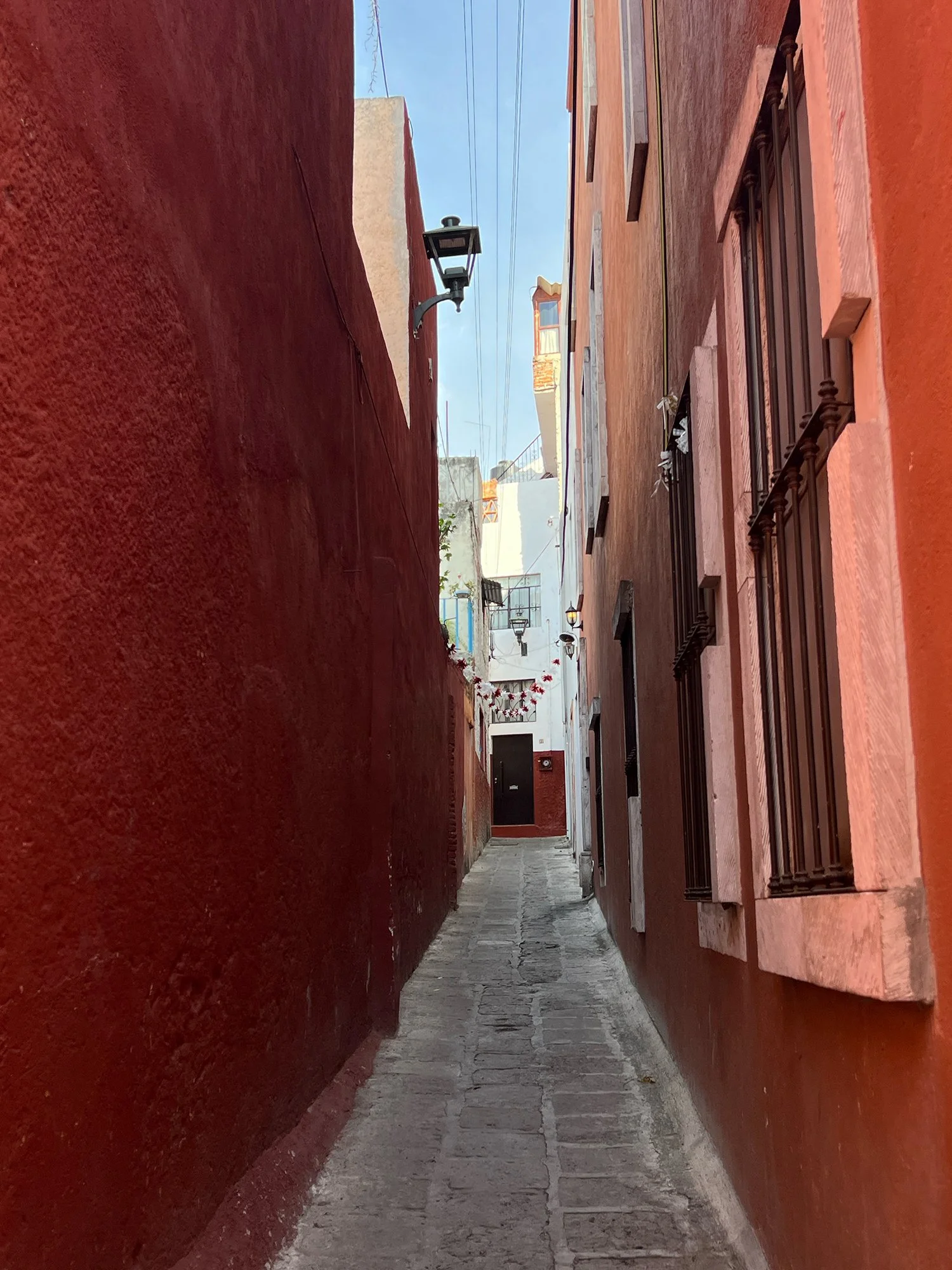 IMG_0183 copy.jpg