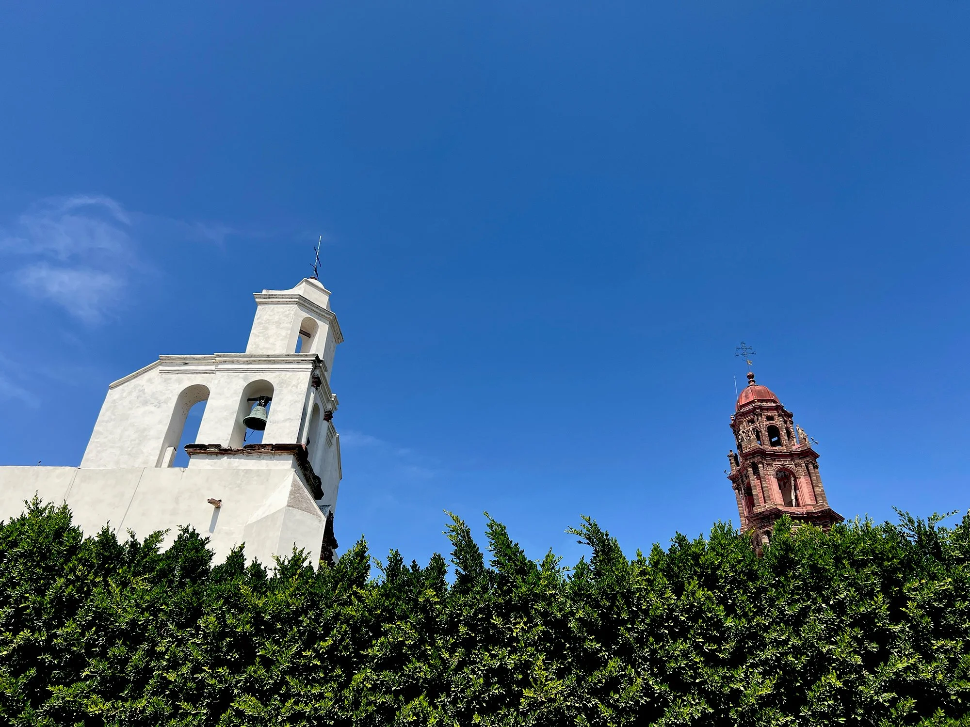 IMG_9907 copy.jpg