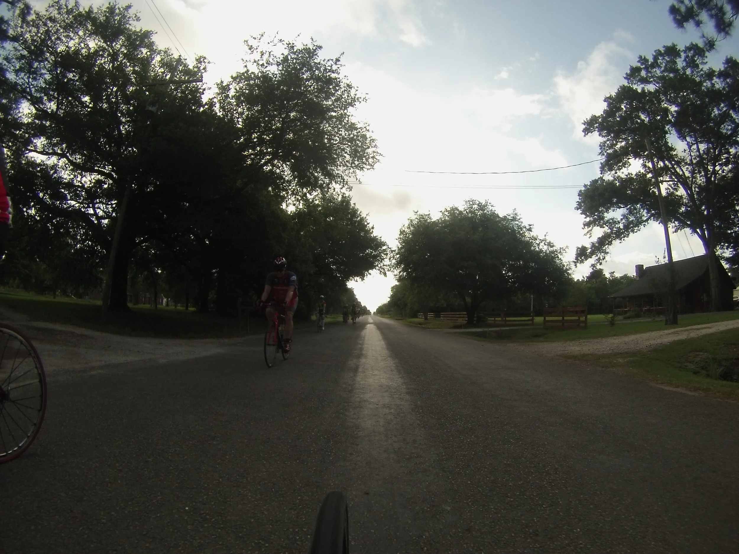 g0020195.jpg