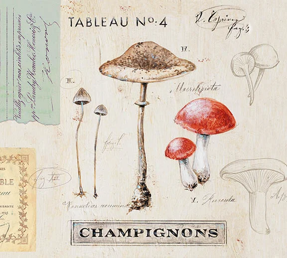 "Nature's Mushrooms" © Angela Staehling
