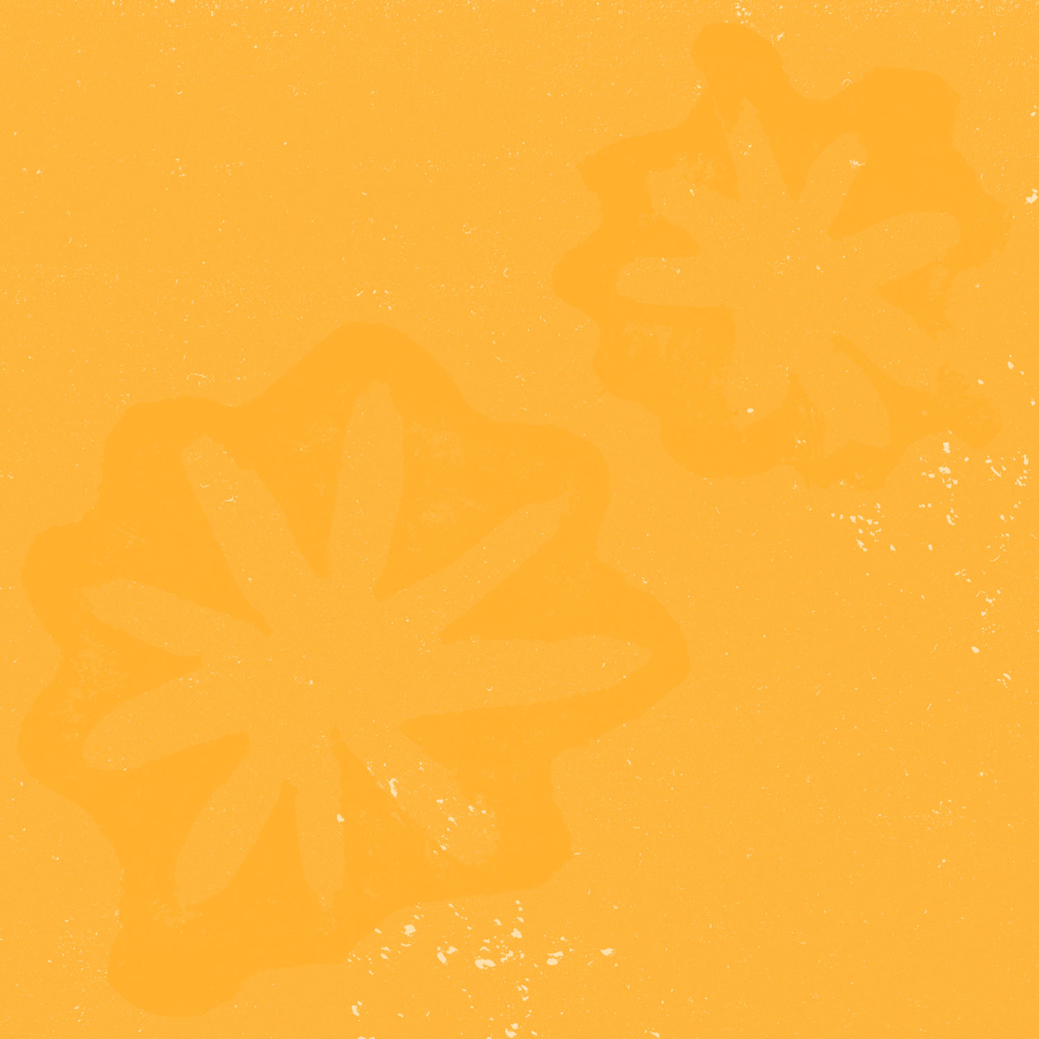 F13_Sun_Fleurs_web_1500x1500.jpg