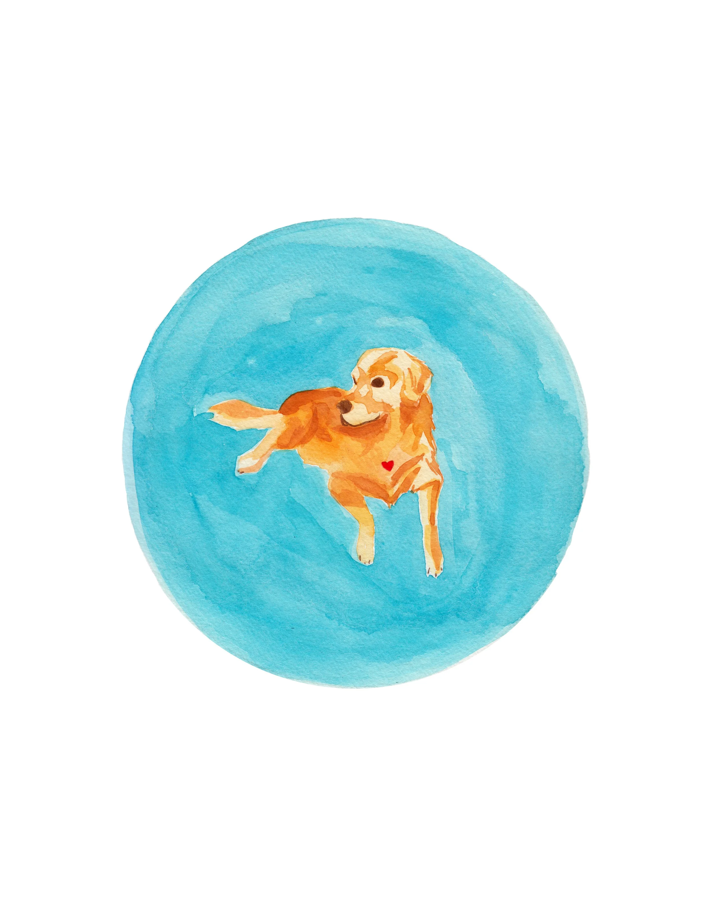 Daisy 11x14.jpg
