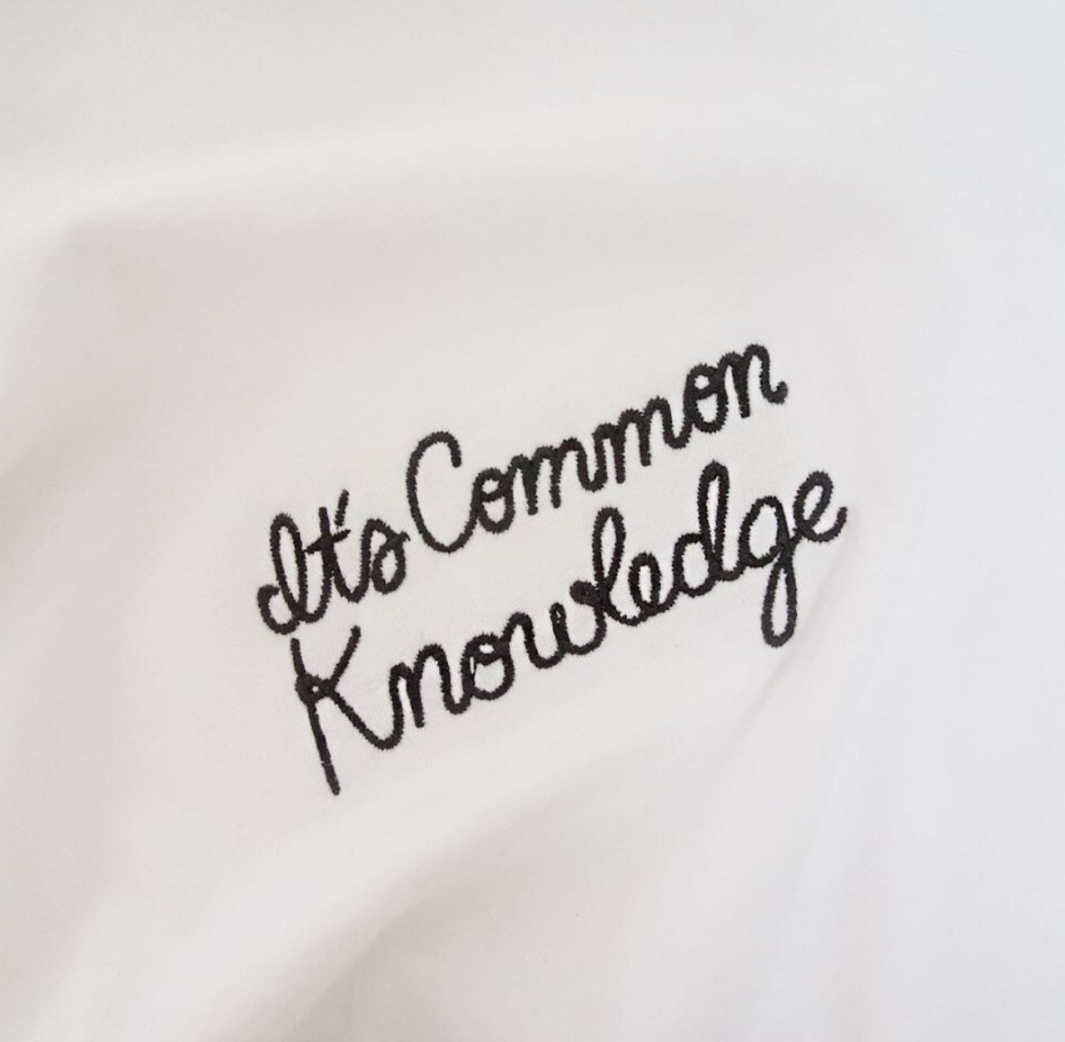 The Common Knowledge - Lettering for TShirt Embroidery