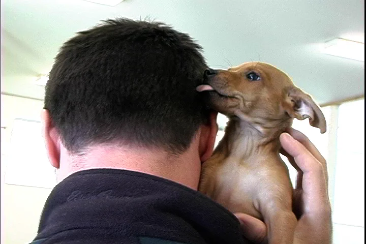 Healthy Paws 5-14-10 still.jpg