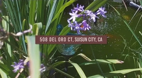 Real Estate Video: 508 Del Oro Ct, Suisun, CA