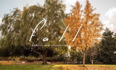 Steadfaster Media | "Fall"