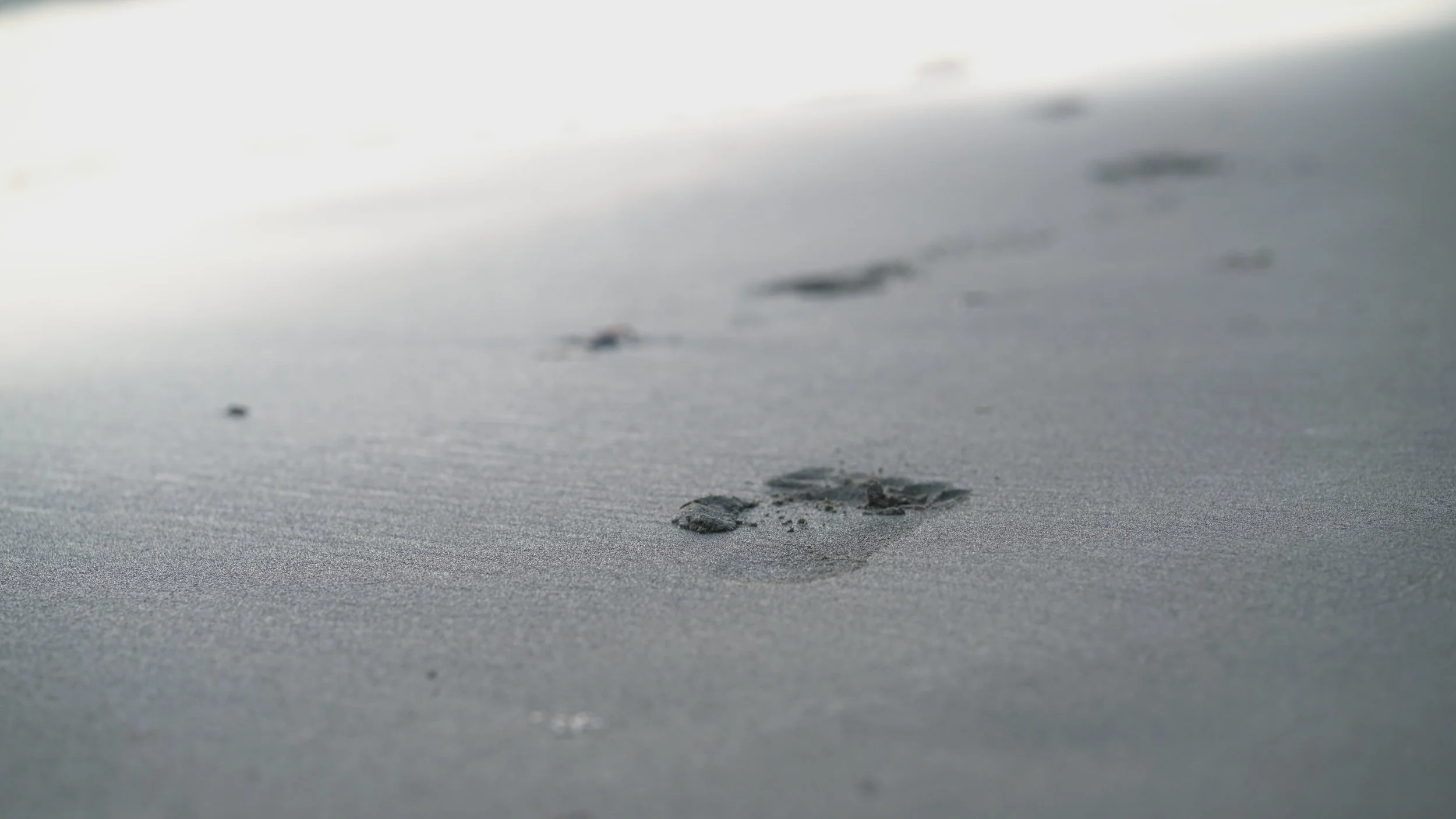 Foot print in sand.JPG