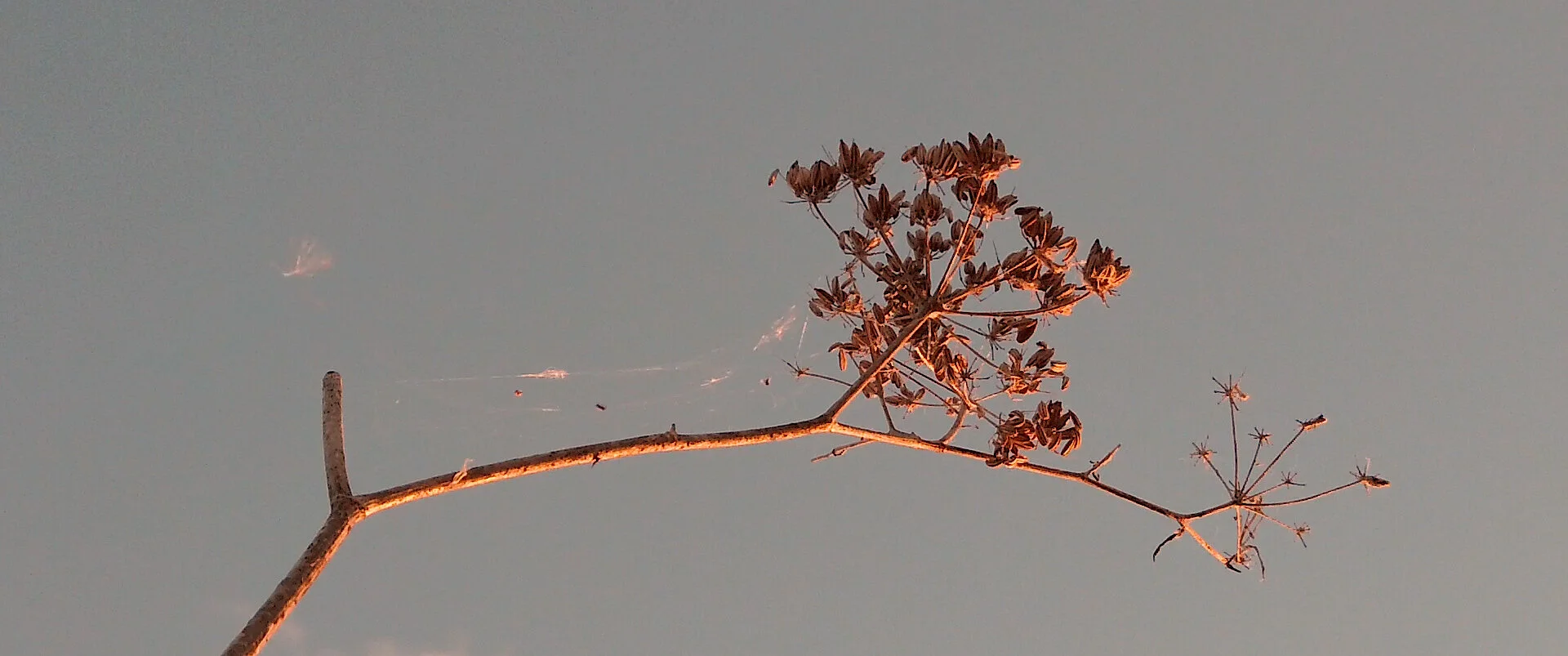 Sequence 01.00_01_15_17.Still004.jpg