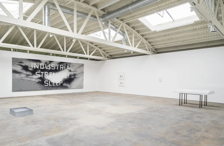 Ibid gallery Sleep , curated by Paolo Colombo