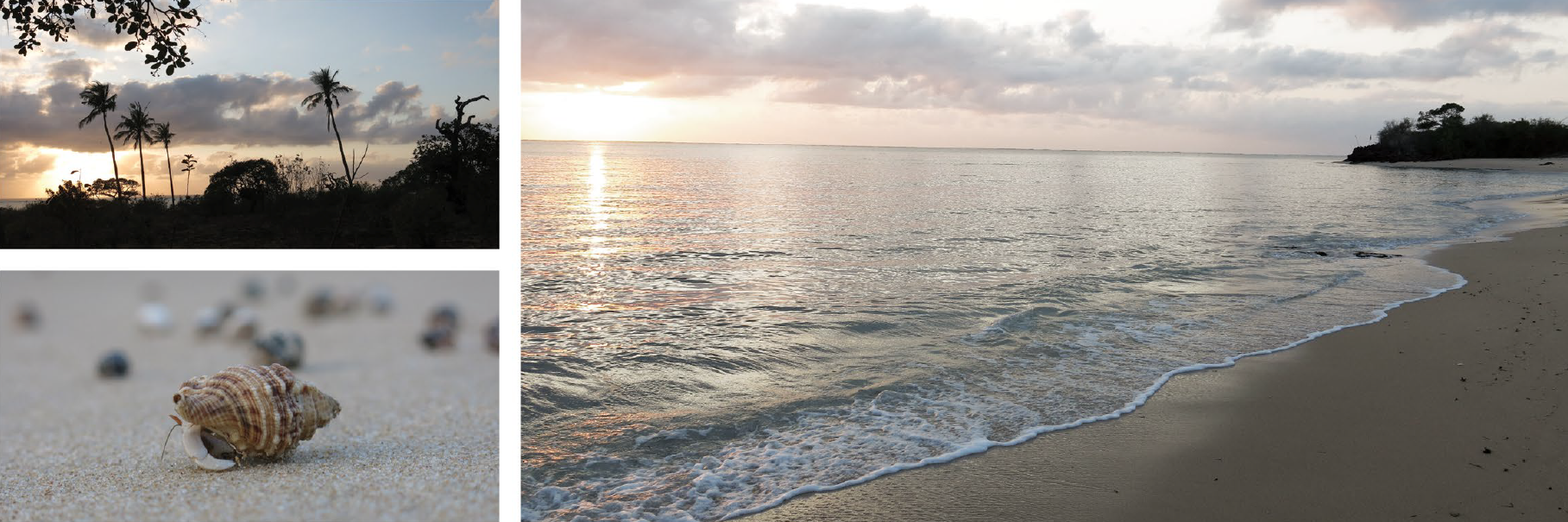 Screen Shot 2015-07-23 at 3.53.29 pm.png