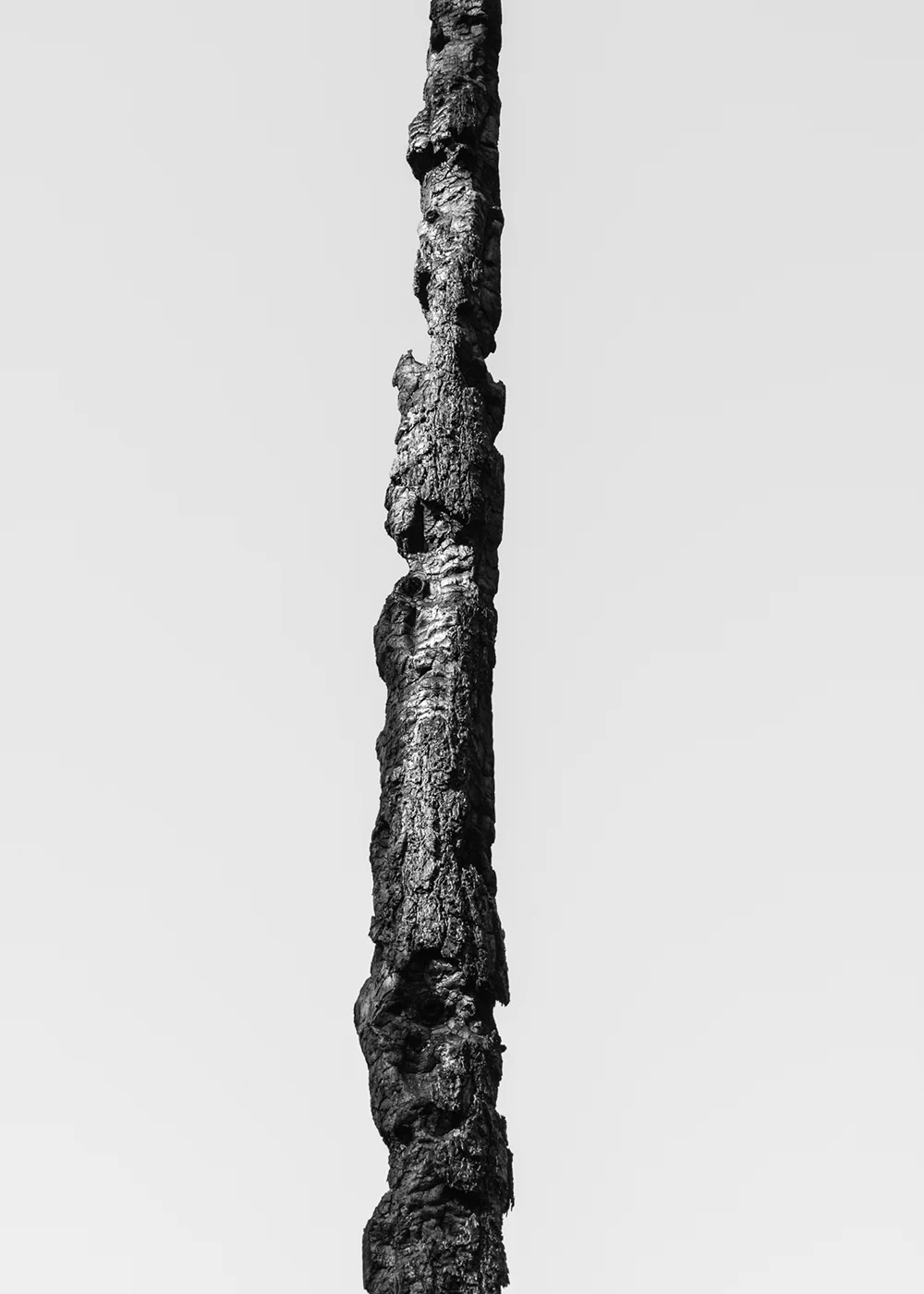 RimFire_11.jpg