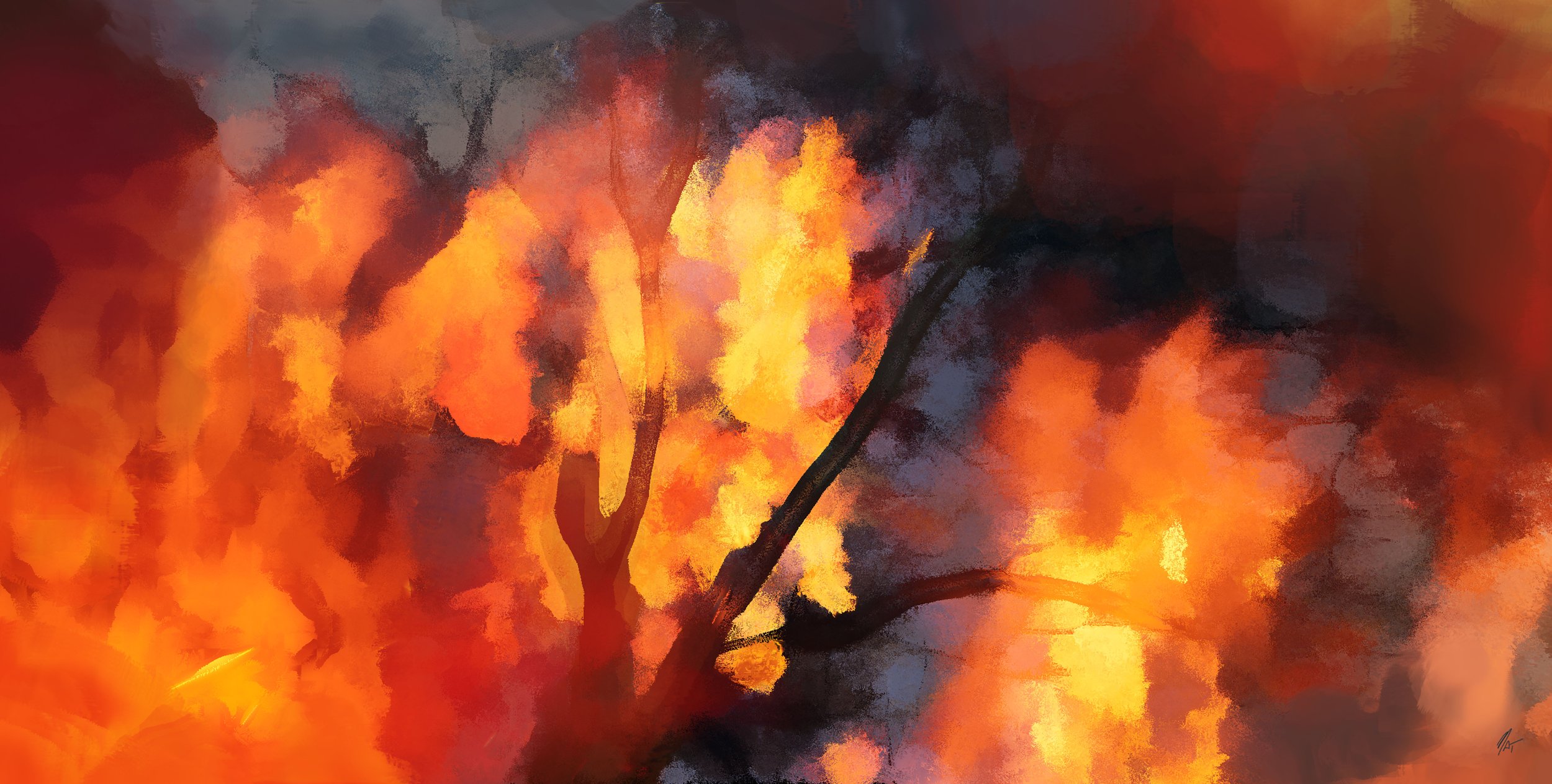 bushfire_01_1009_035.jpg