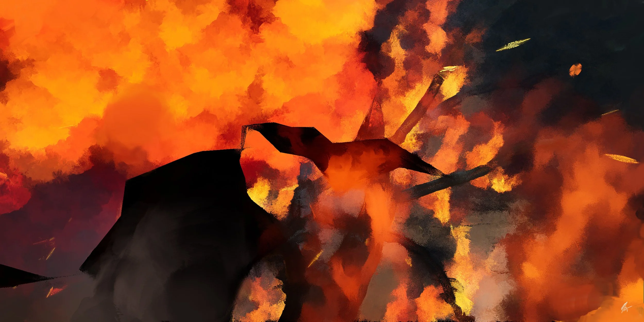 bushfire_01_1009_031.jpg