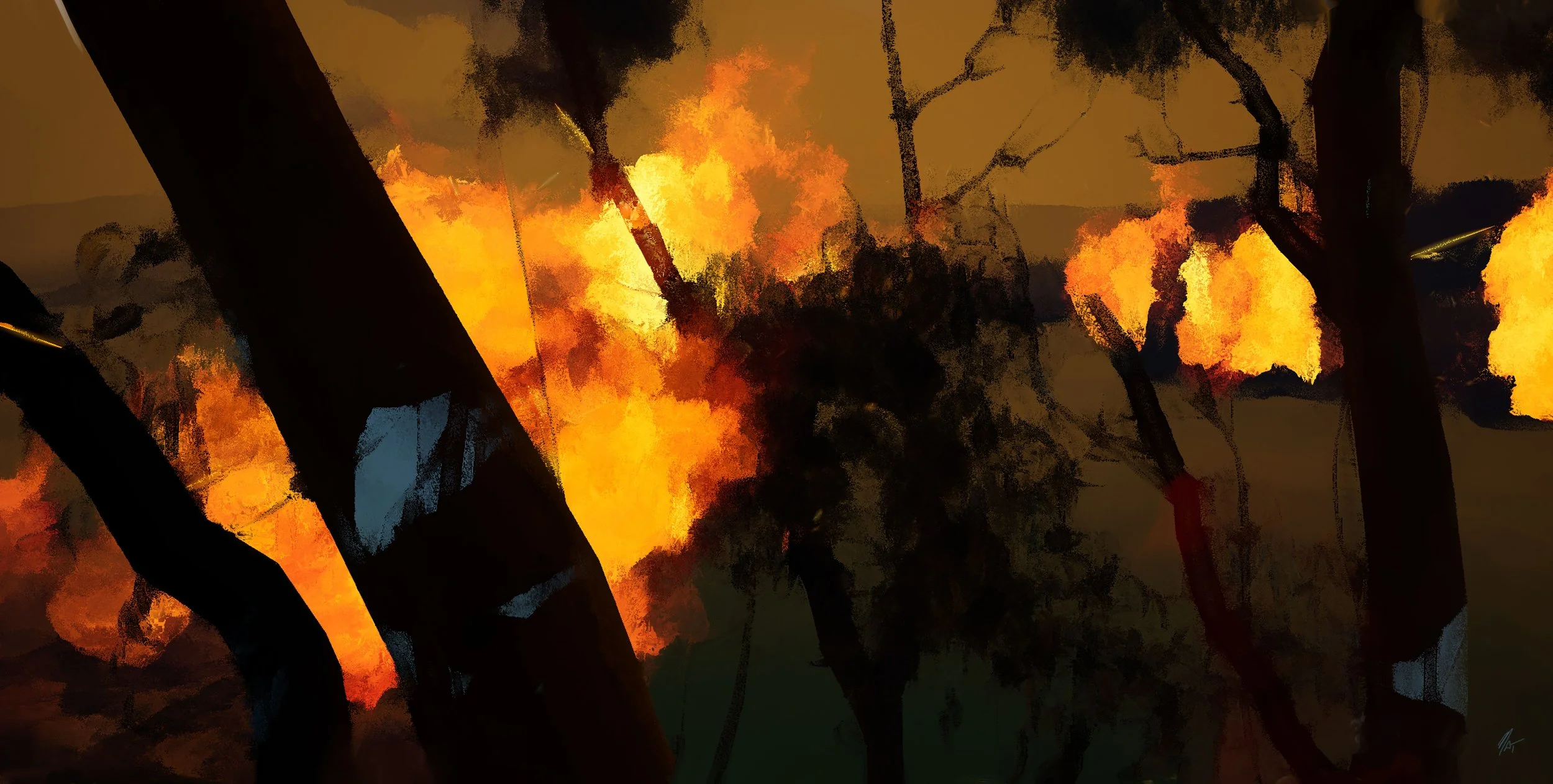 bushfire_01_1009_026.jpg
