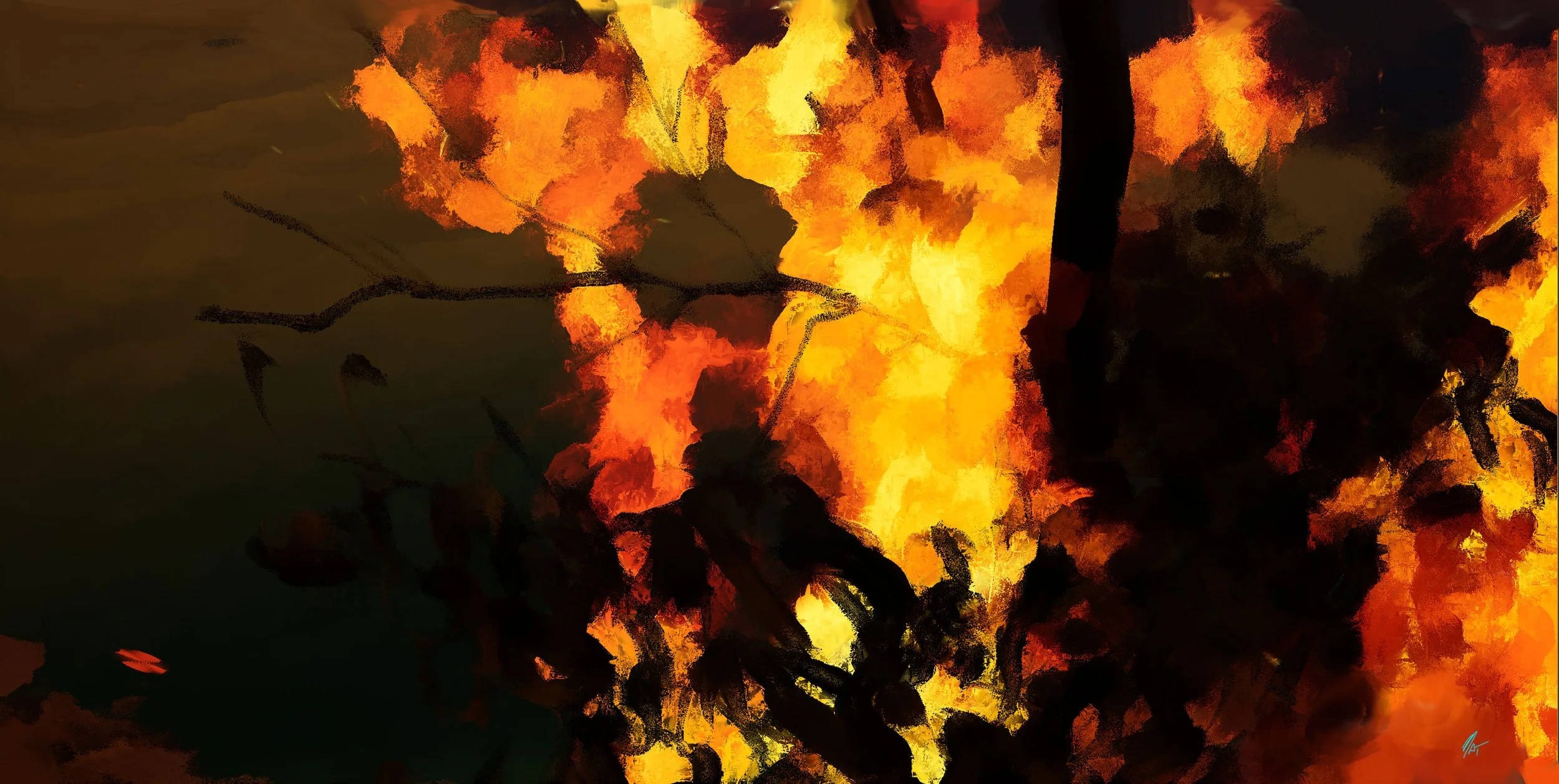 bushfire_01_1009_025.jpg
