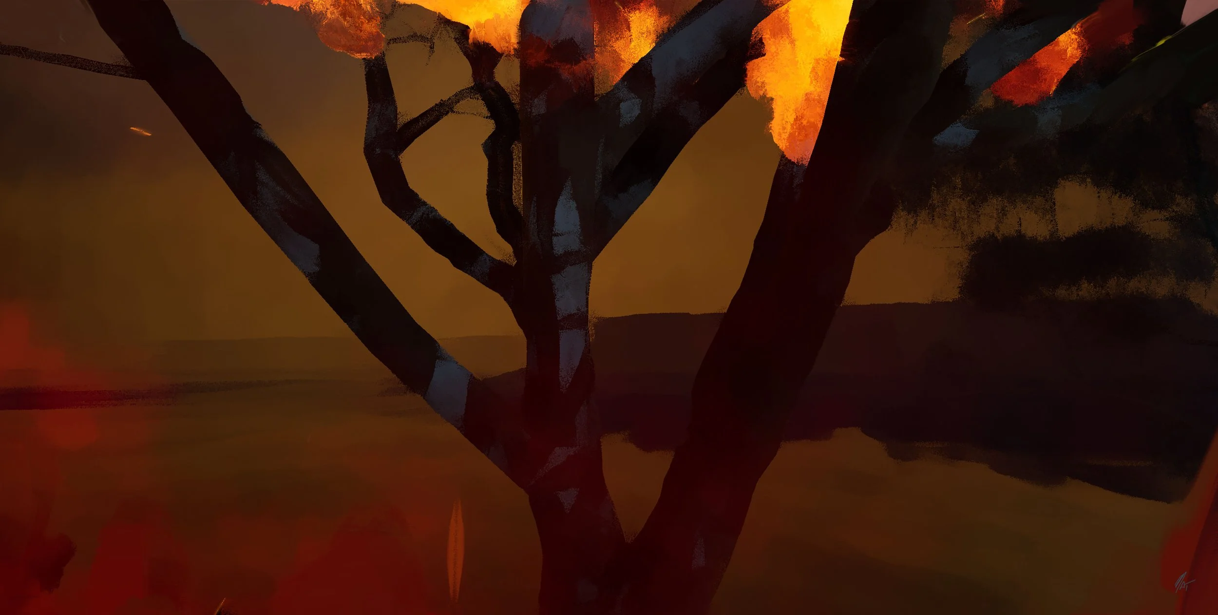 bushfire_01_1009_018.jpg