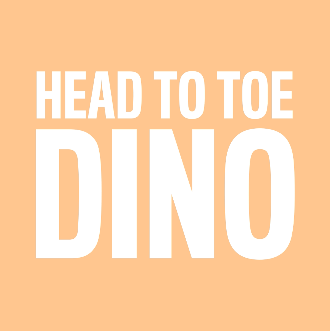 Dino Insta Video