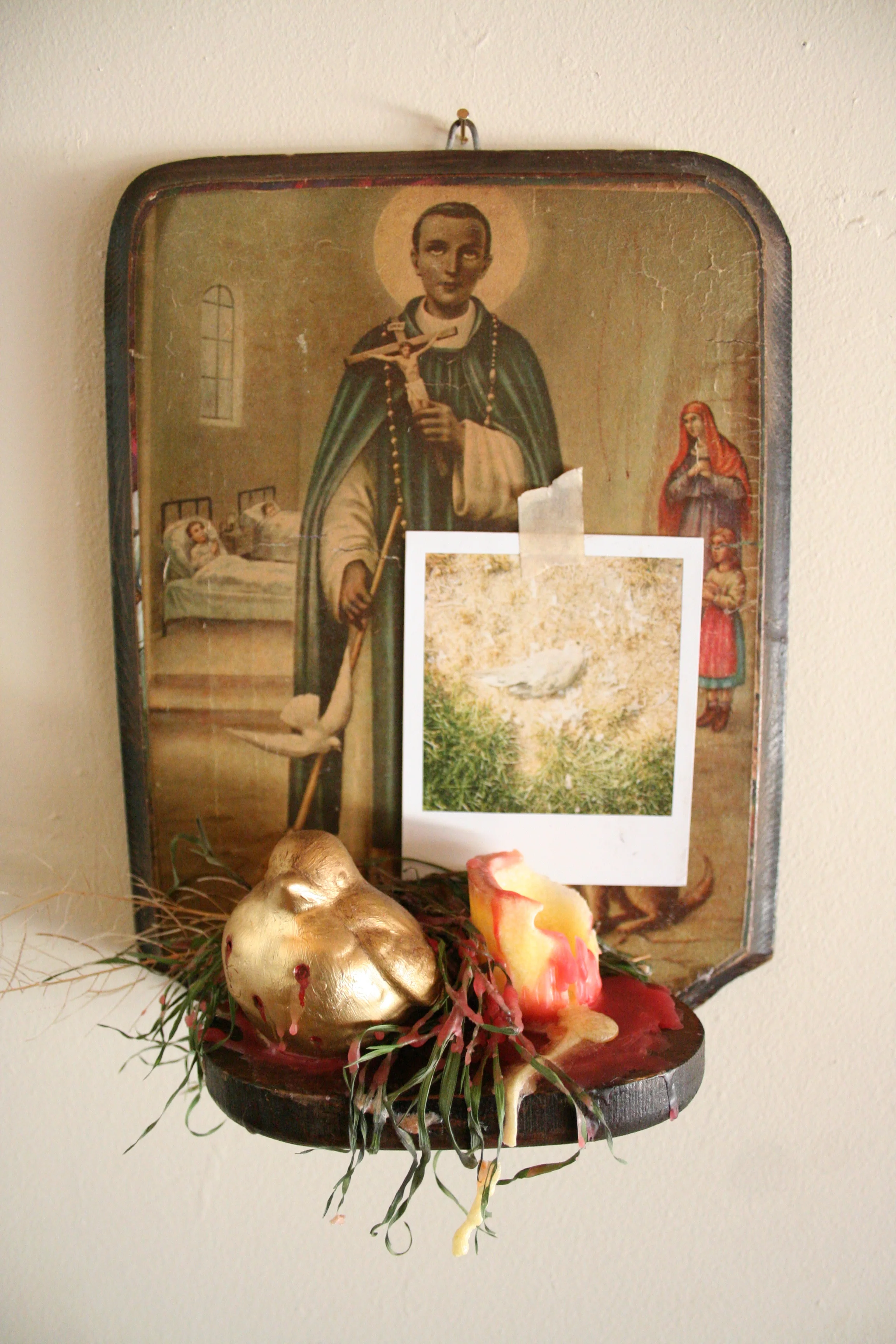 Rotting Like an Apple on the Side of the Road