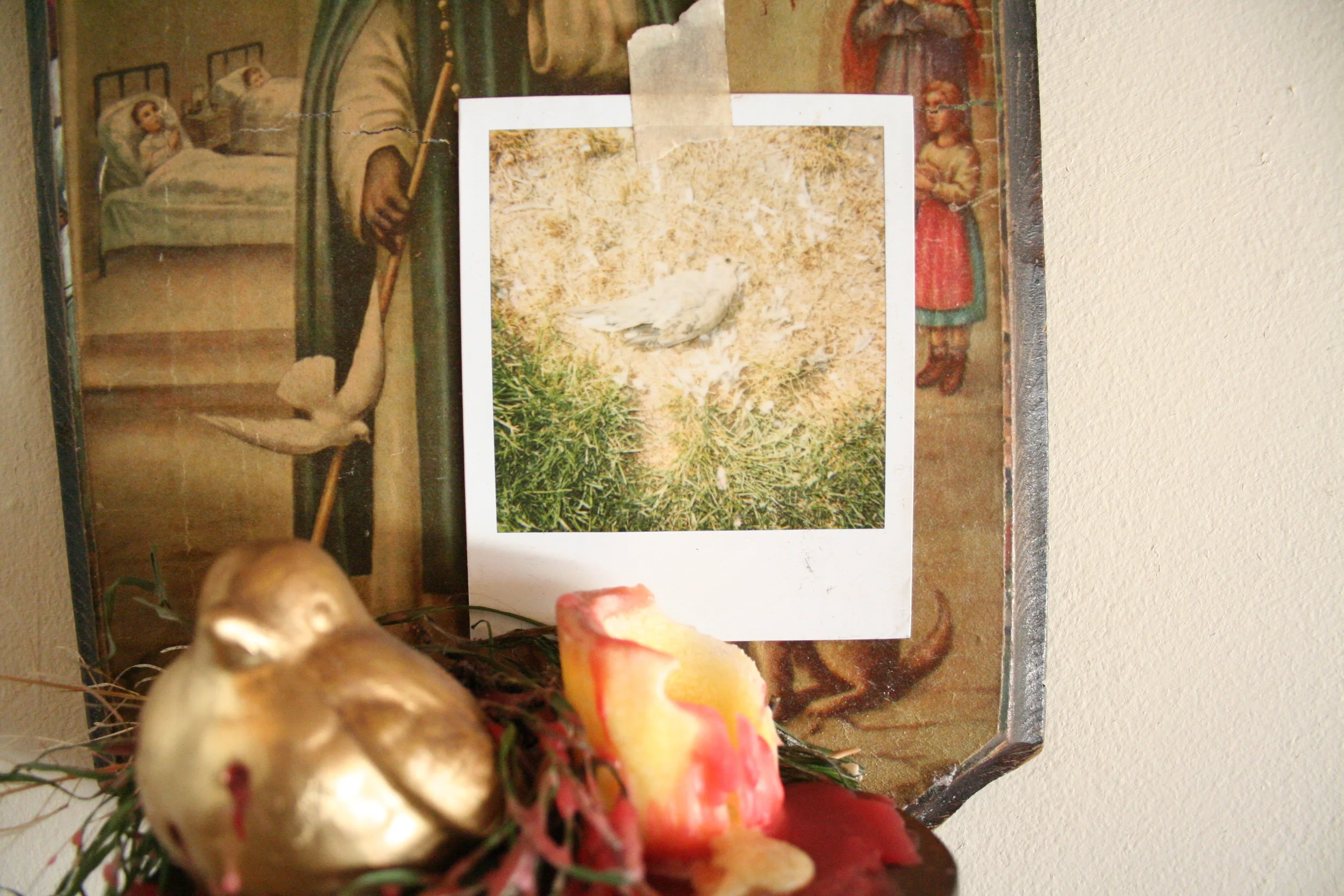 Rotting Like an Apple on the Side of the Road, (detail). 