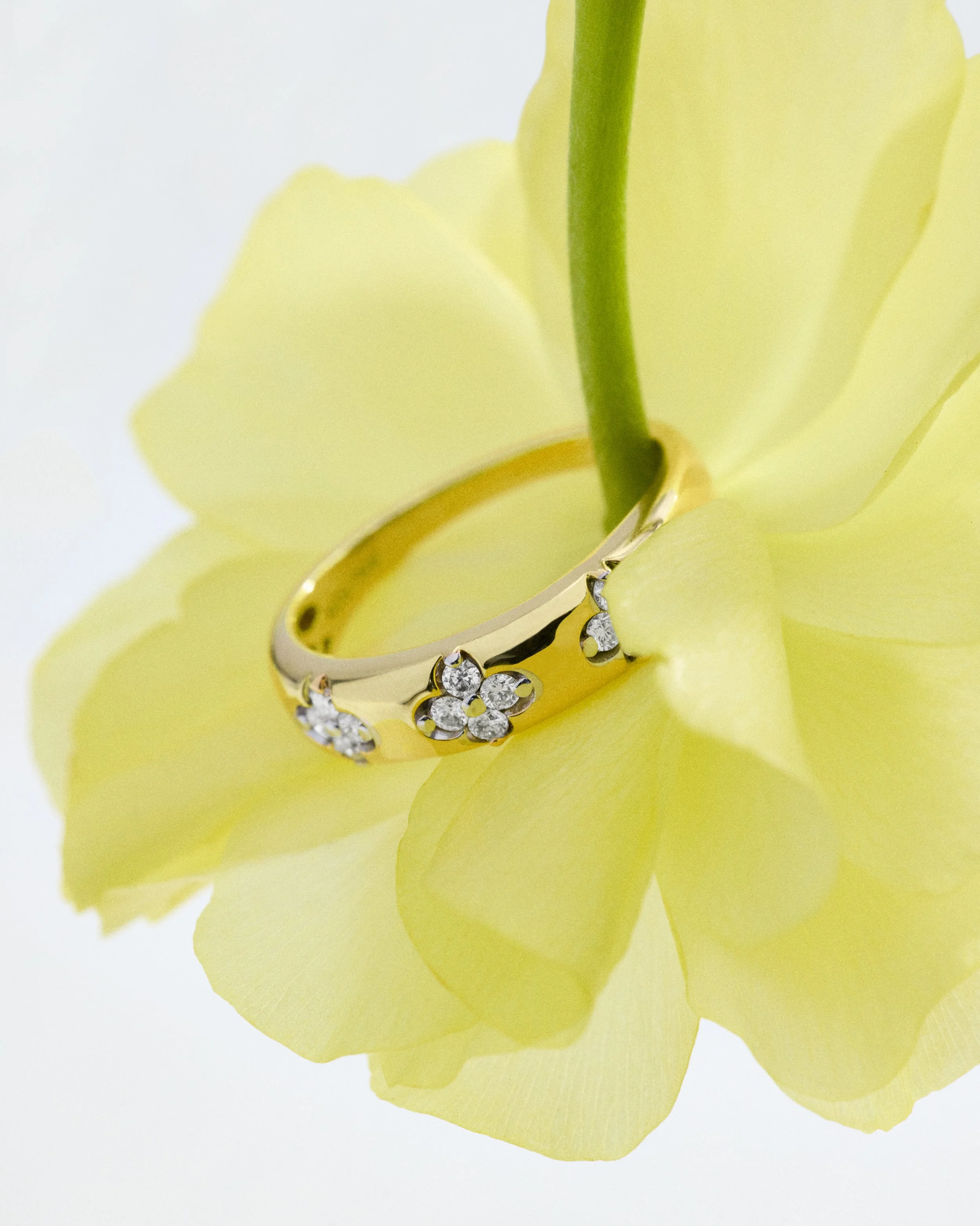 Website_Jewelry_ 5.jpg