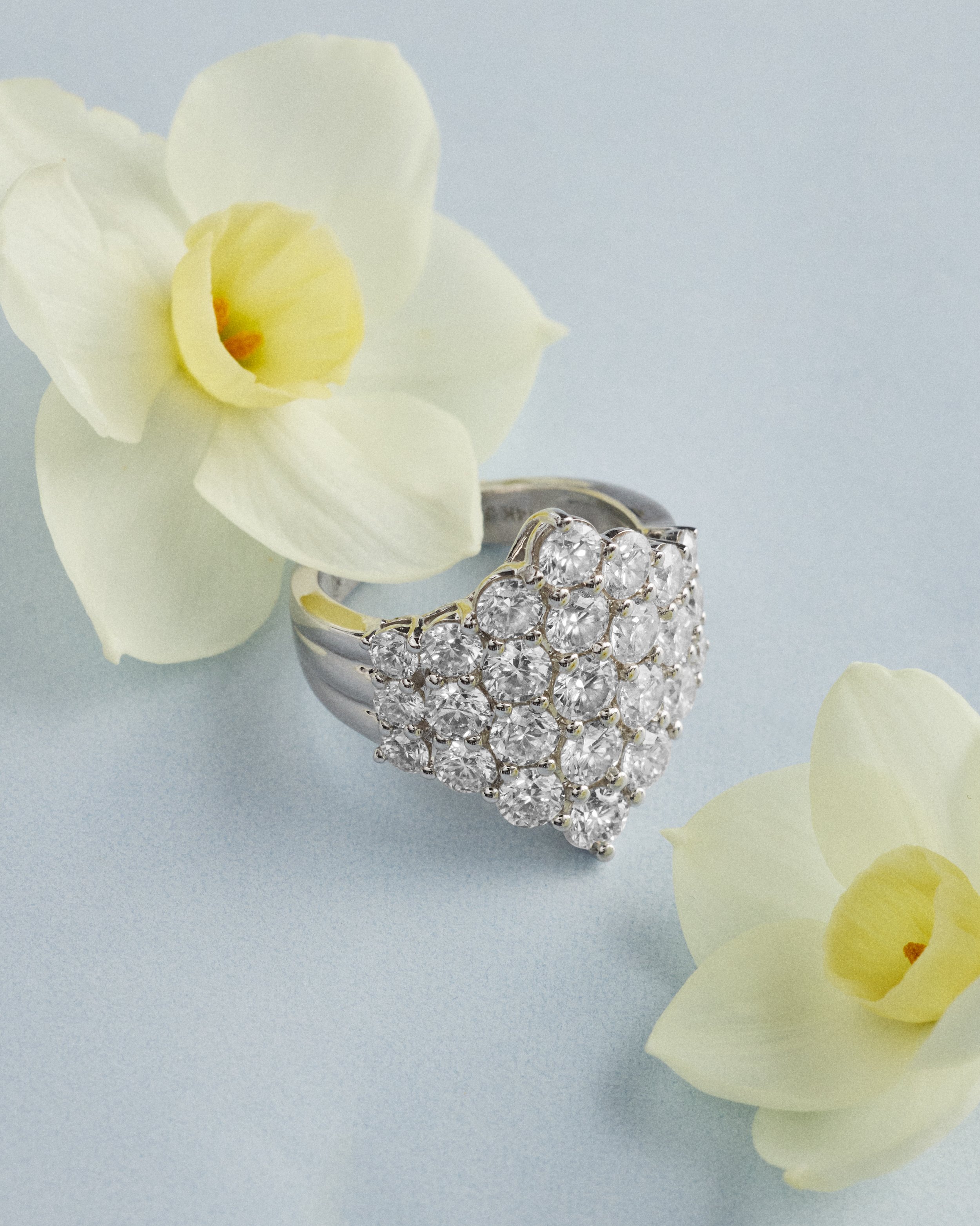 Website_Jewelry_ 6.jpg