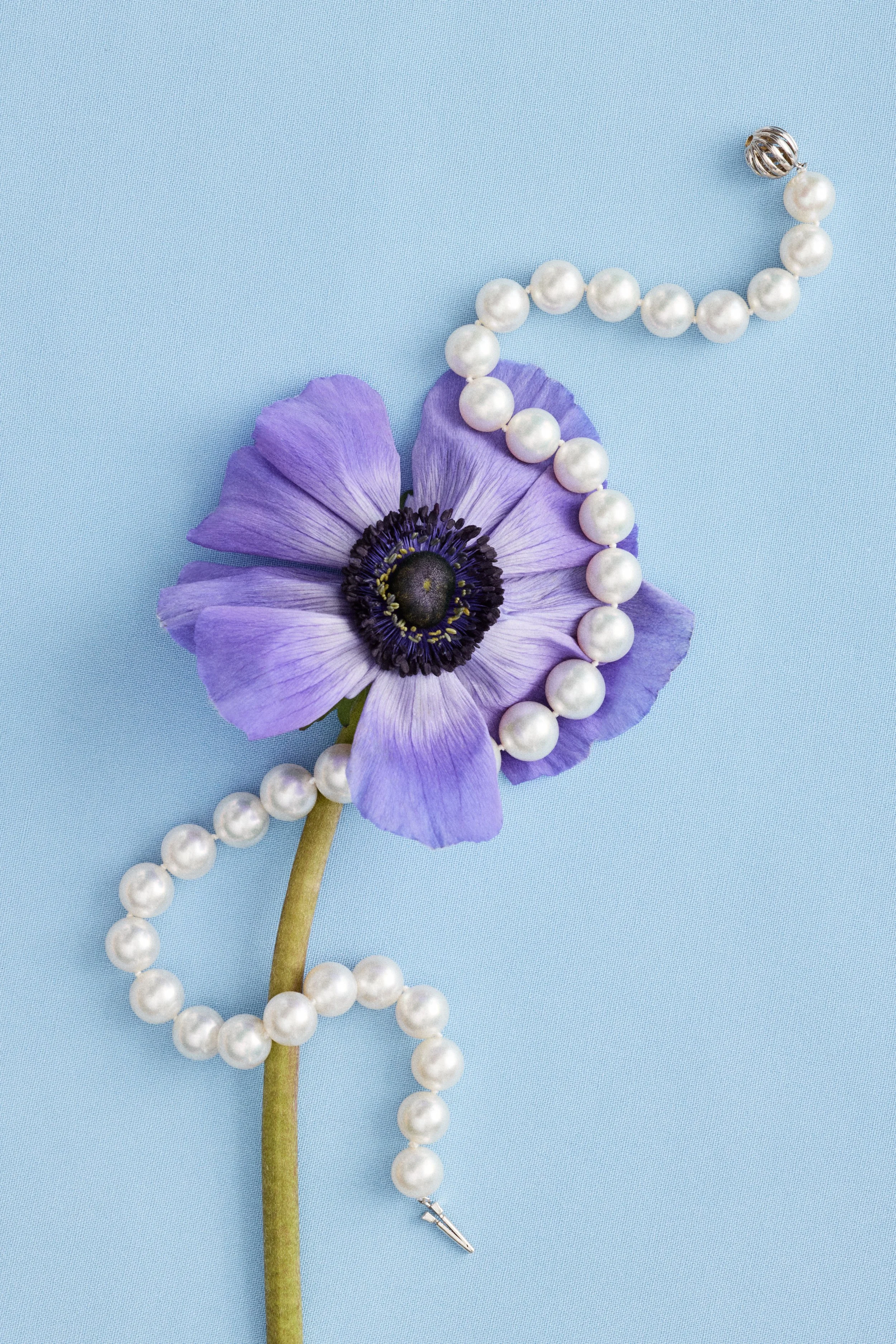 Website_Jewelry_ 12.jpg