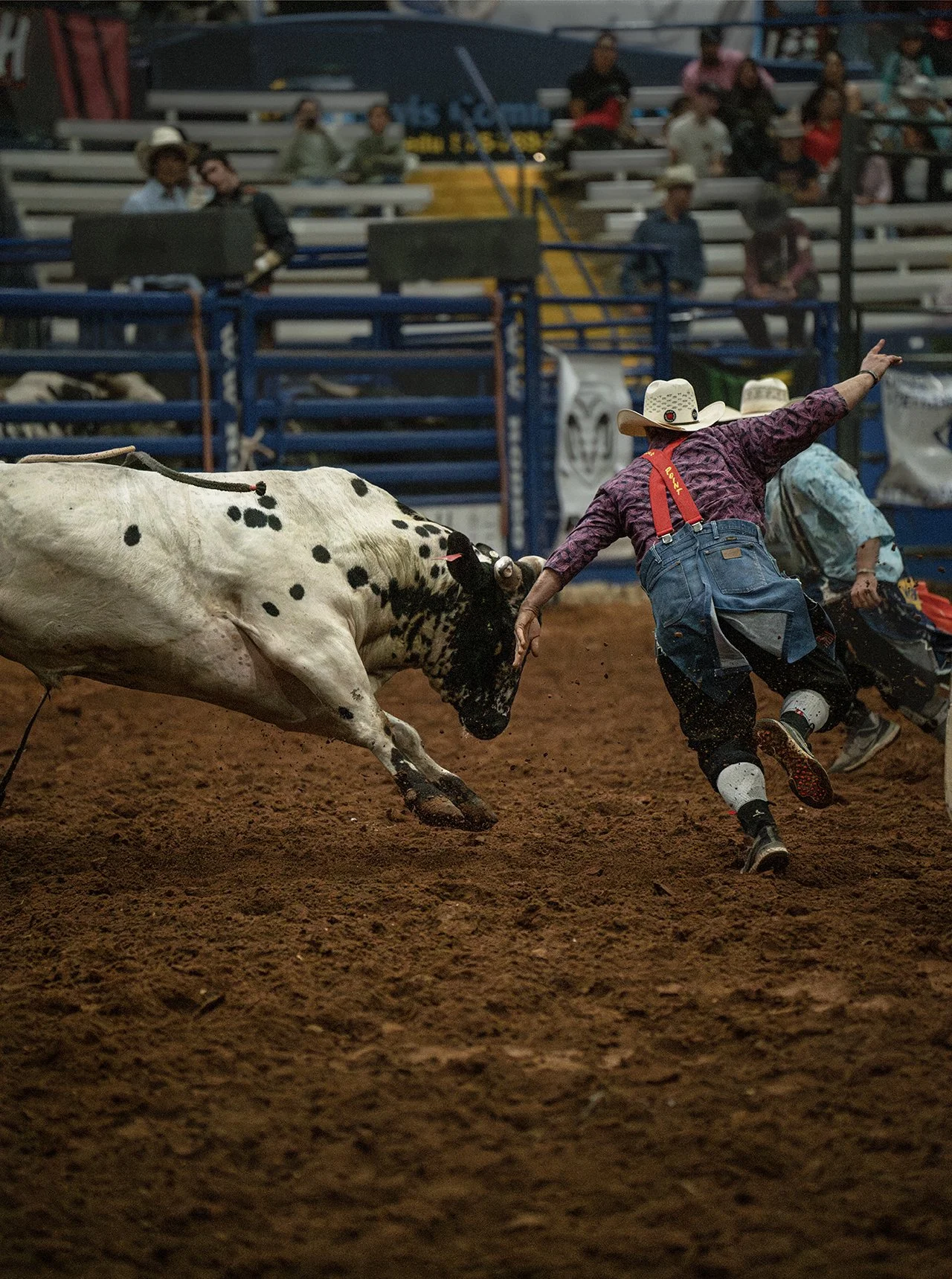 _DSC8138 copy 2.jpg
