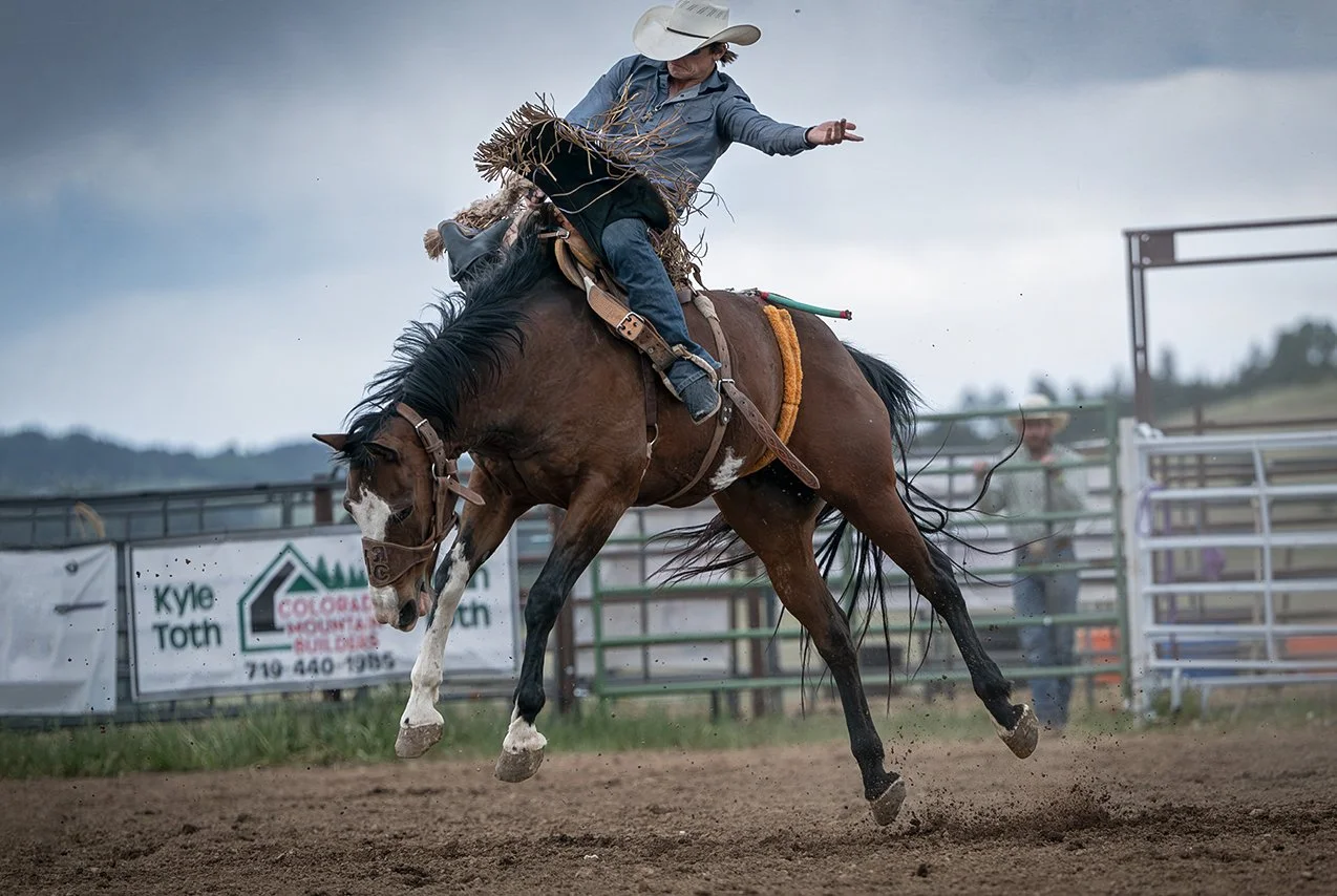Saddle Bronc Riding