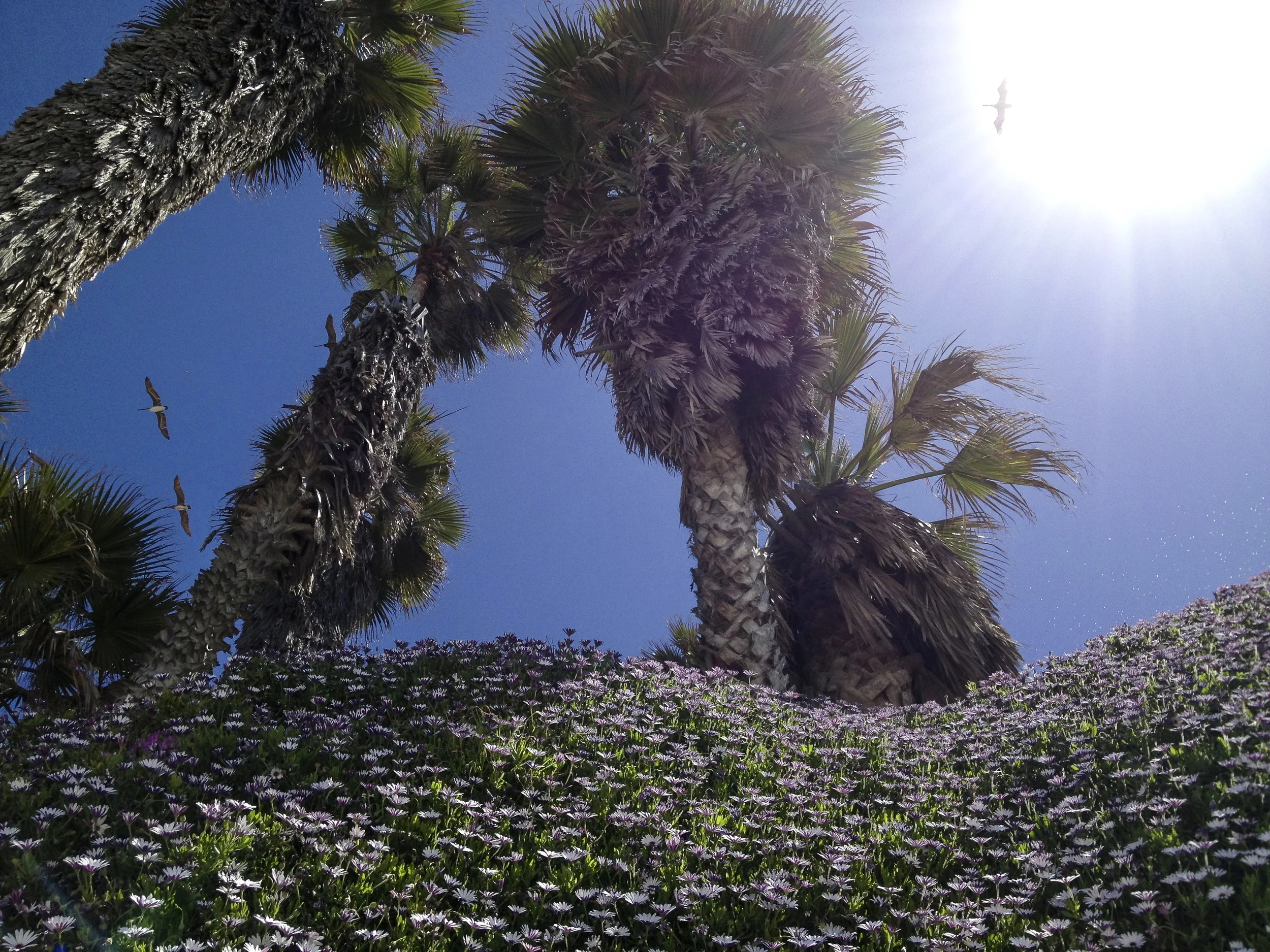 A Leucadian Spring