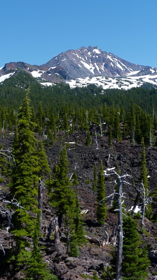 South Sister