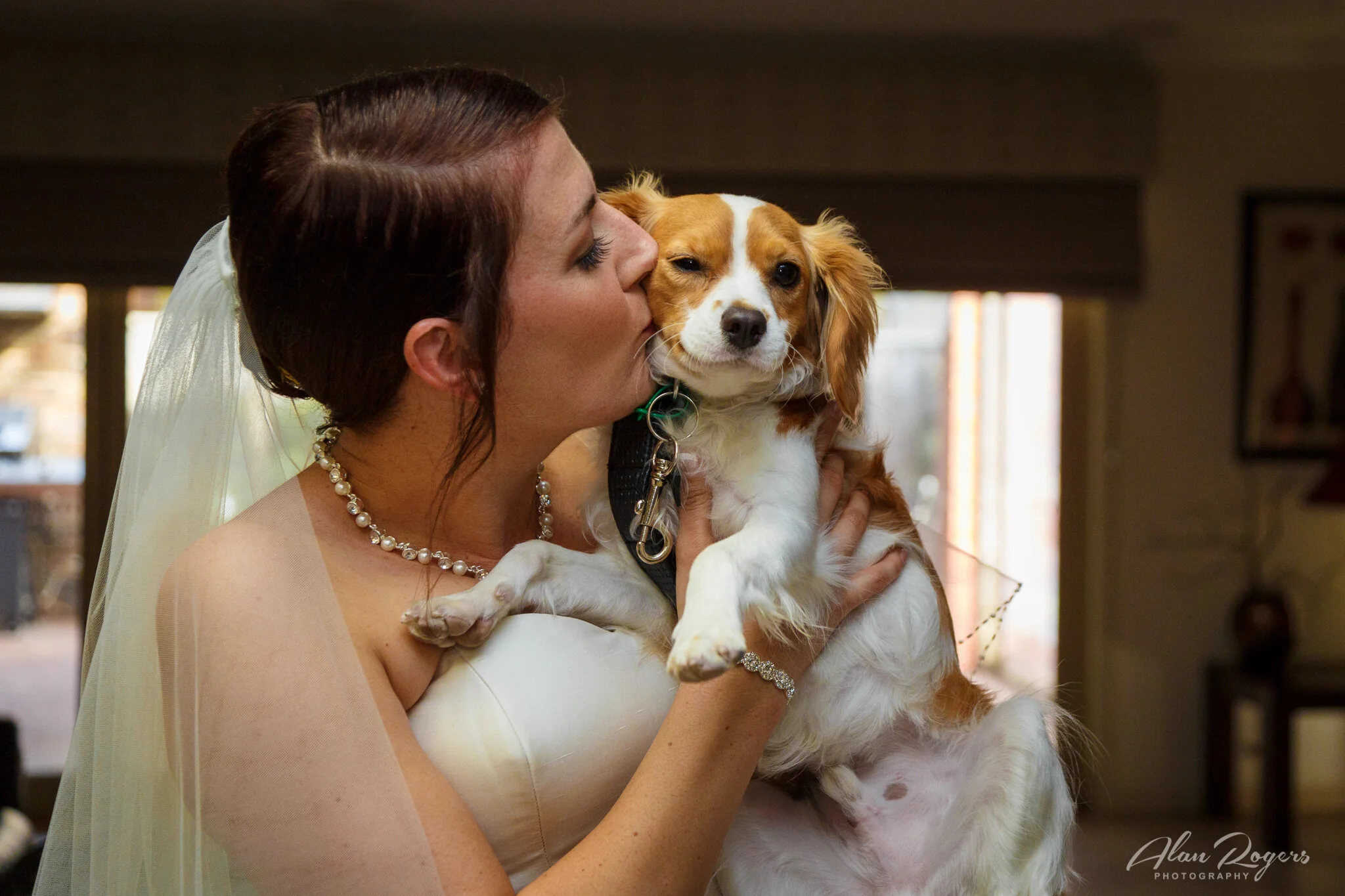 Bridal-kiss-puppy.jpg