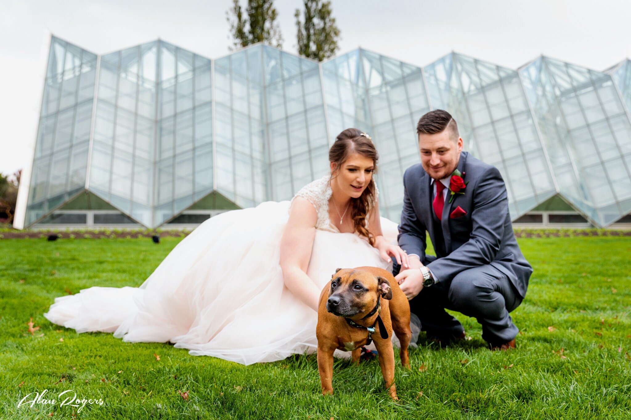bride-groom-puppy.jpg