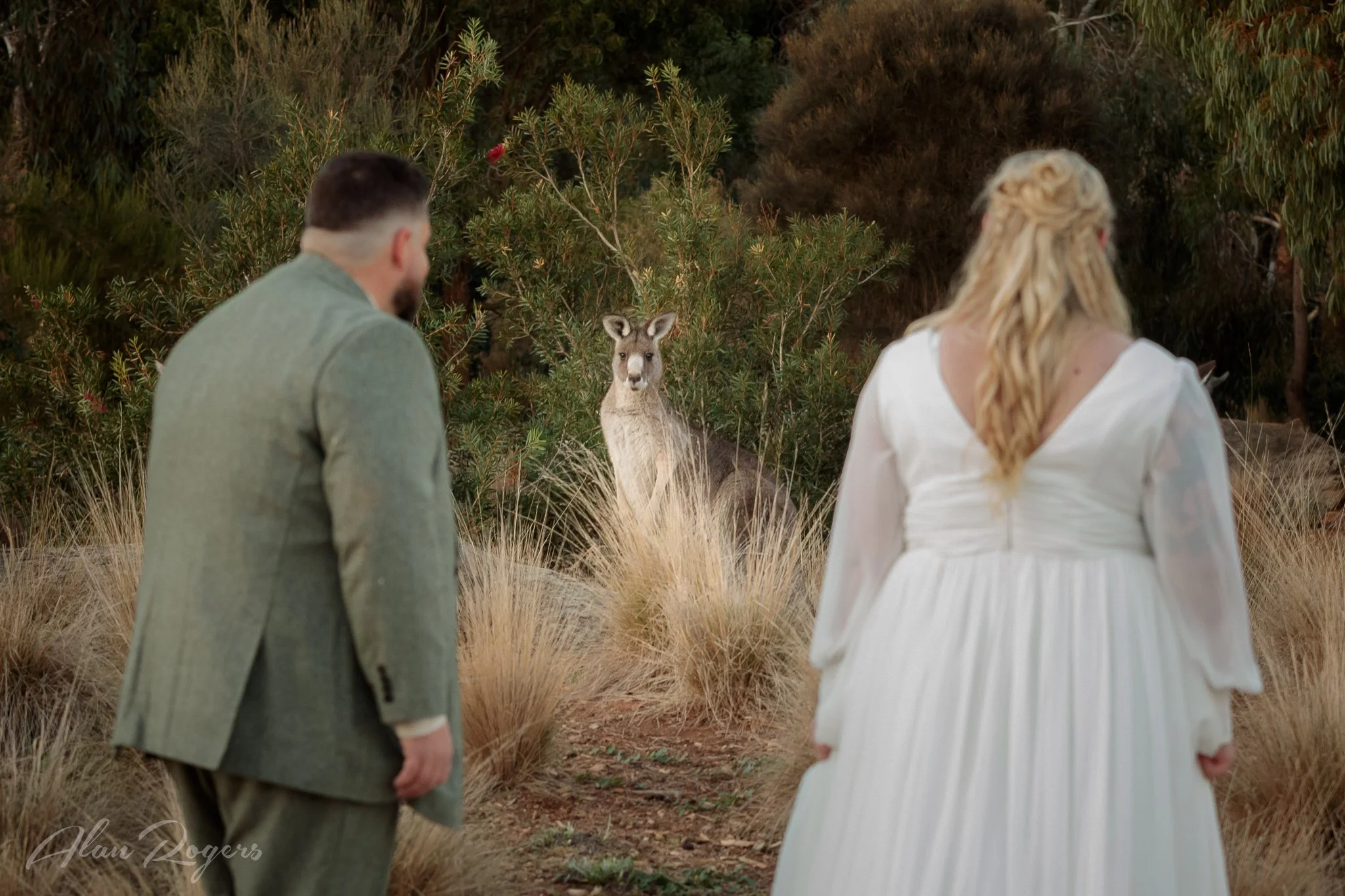 bride-groom-kangaroos-1.jpg
