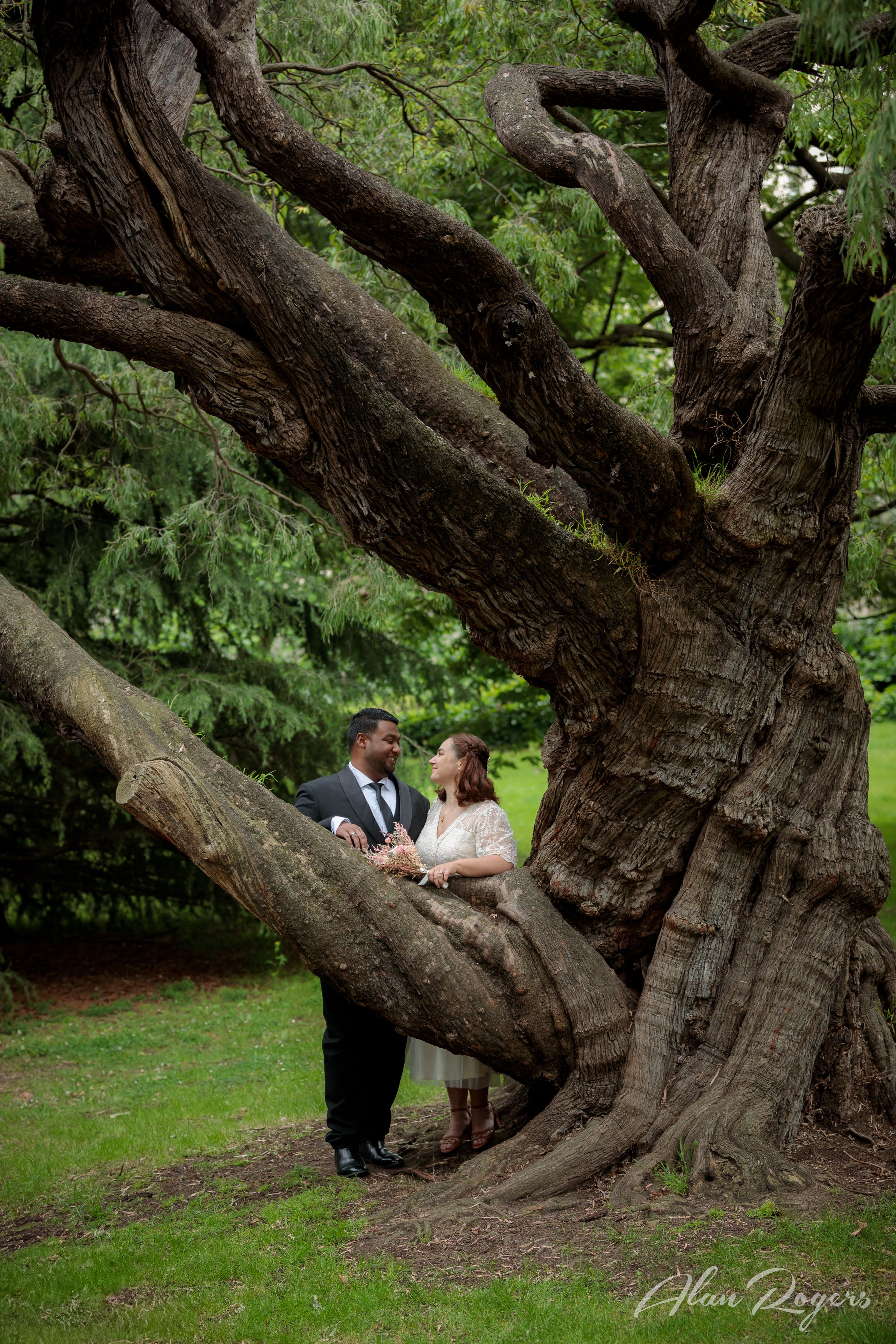 trees-victorian-marriage-registry.jpg