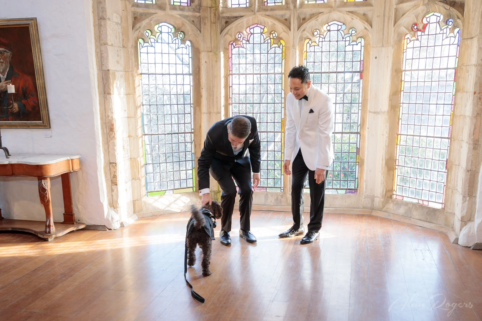 puppy-rings.jpg