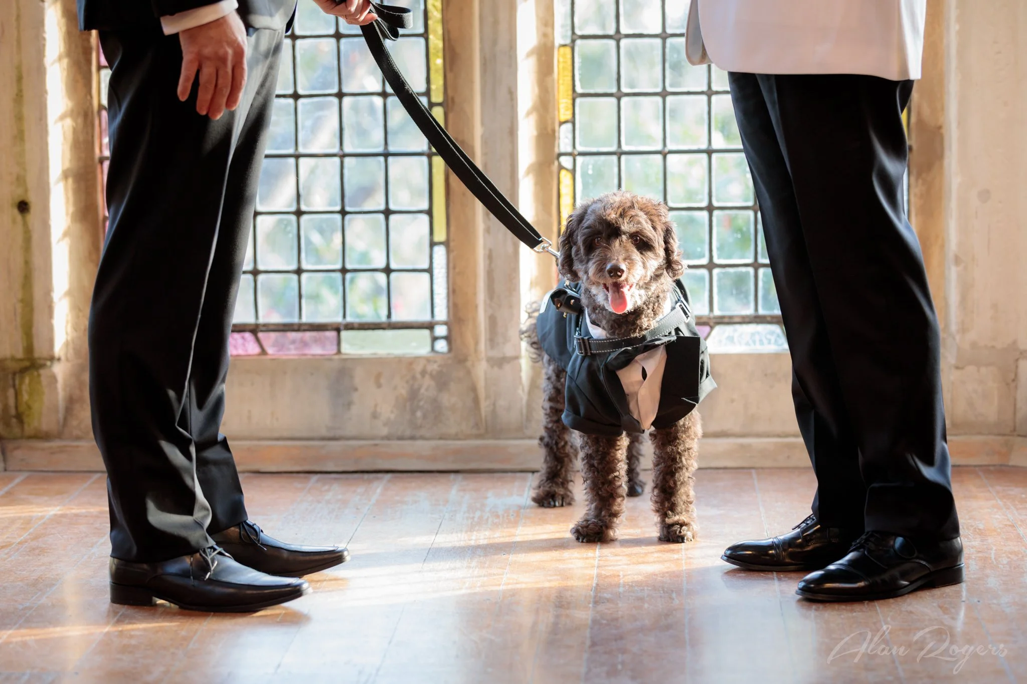 two-grooms-puppy-vows.jpg
