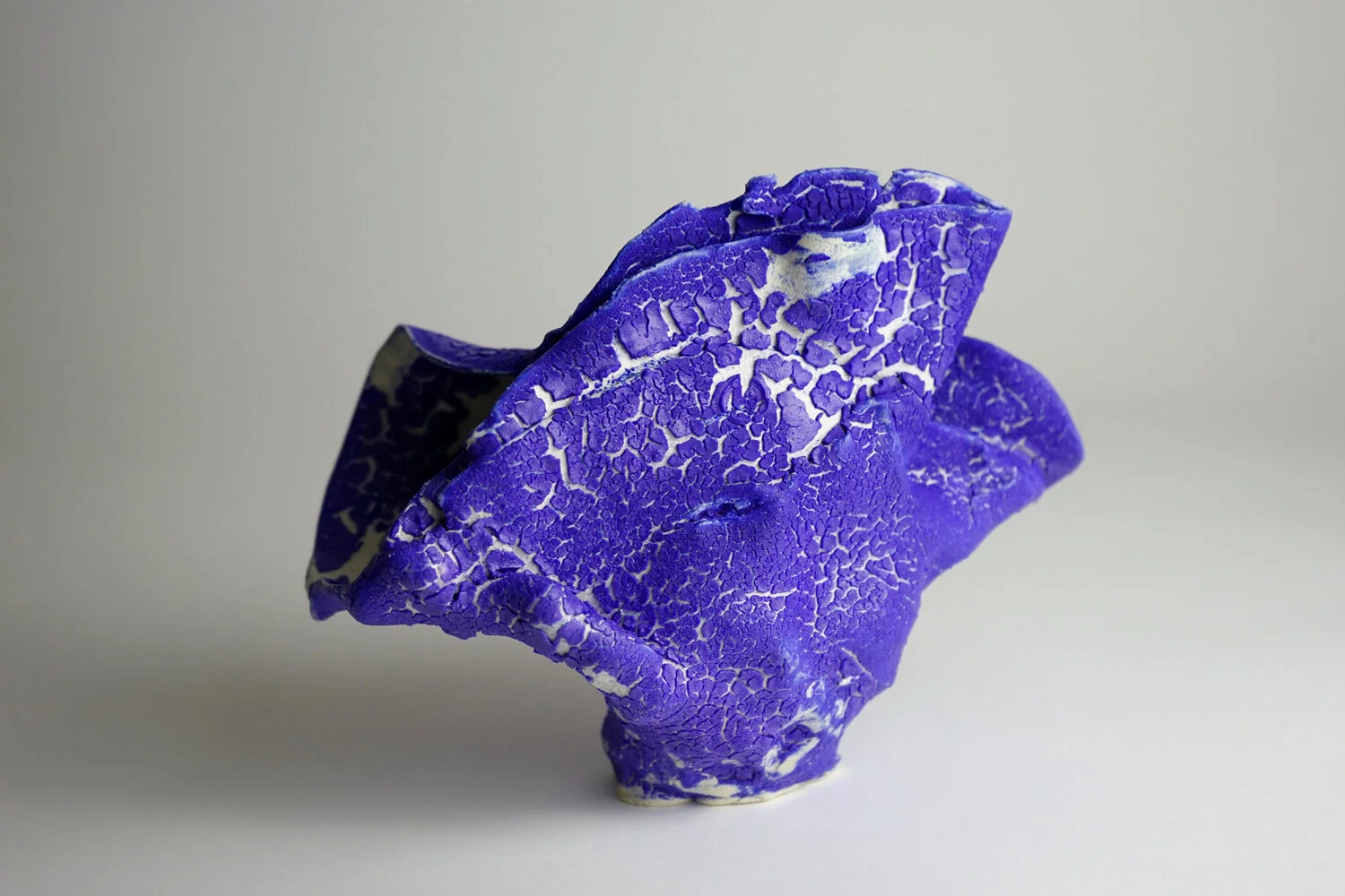  2019  6.5 x 8.5 x 5 inches   Glazed Ceramic 