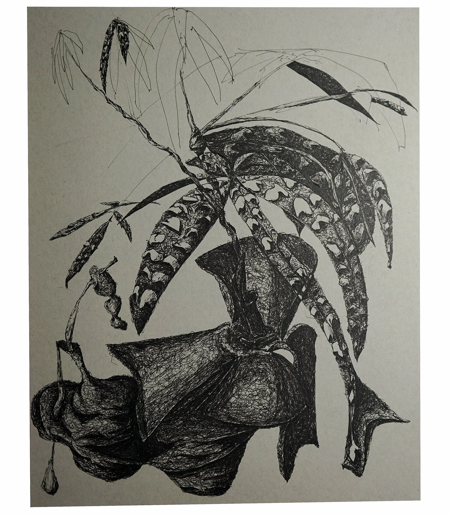  2020    11 x 14 inches     Ink on paper 