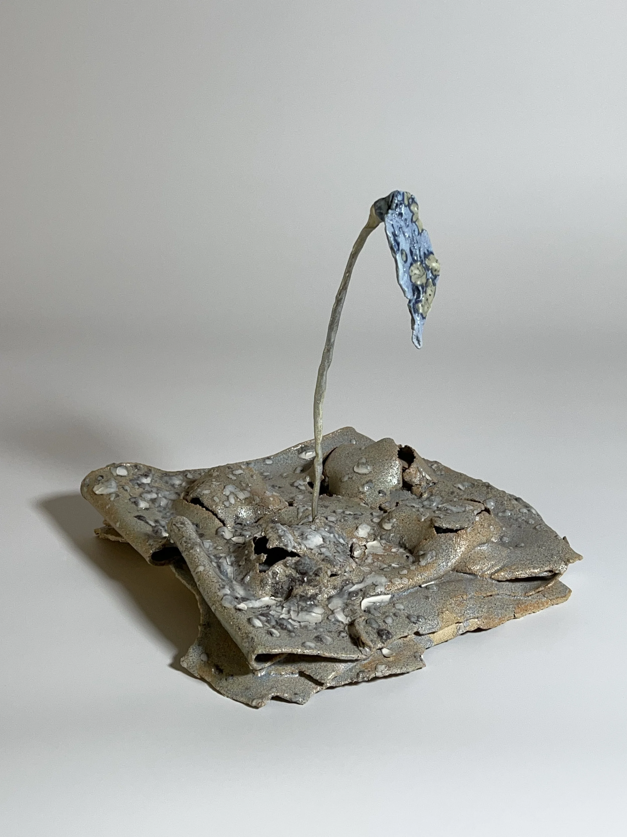  2023  Glazed ceramics, paint, epoxy, metal wire,&nbsp;  11 x 12 x 12 inches 