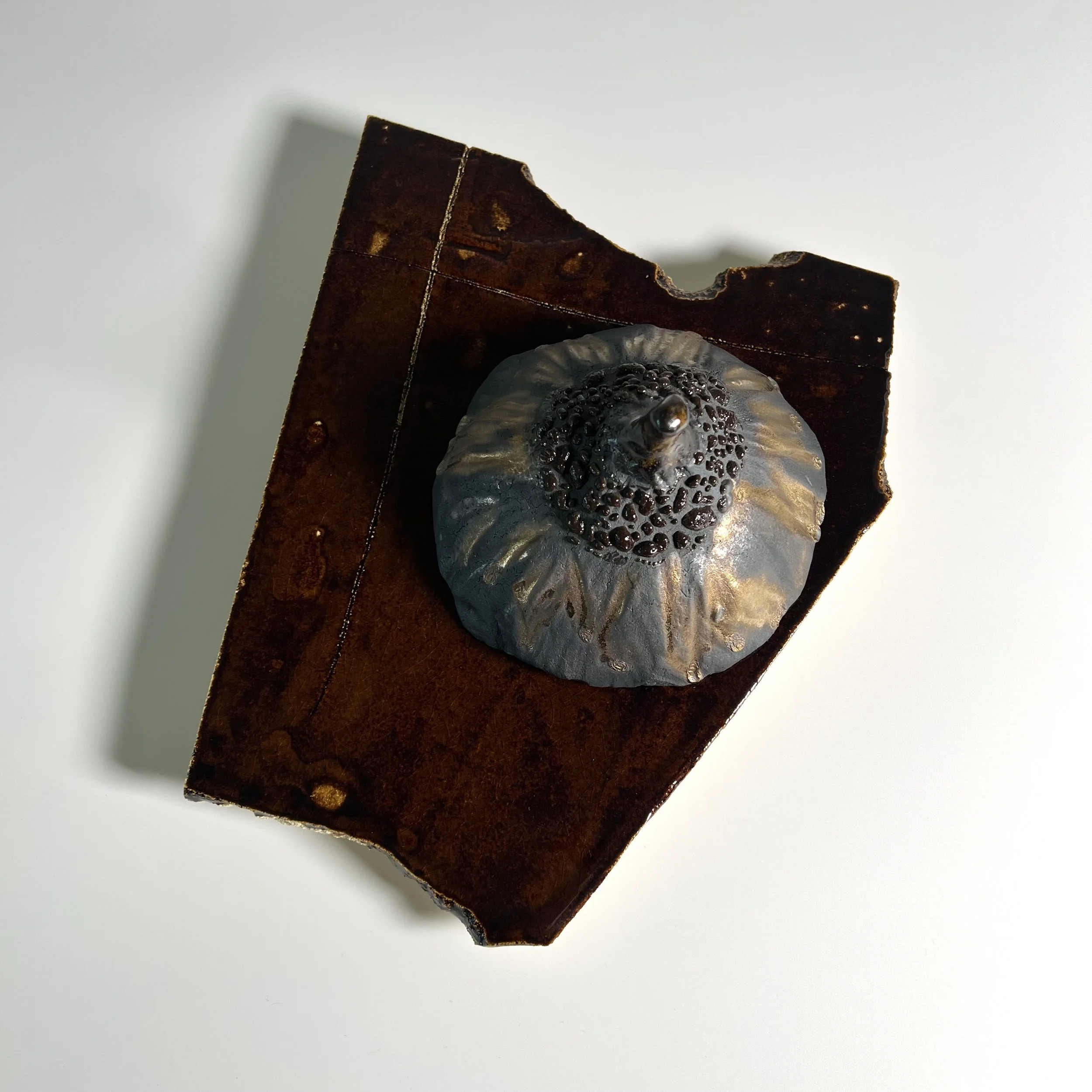  2025  Glazed ceramics, epoxy  5.25 x 12 x 10 inches 