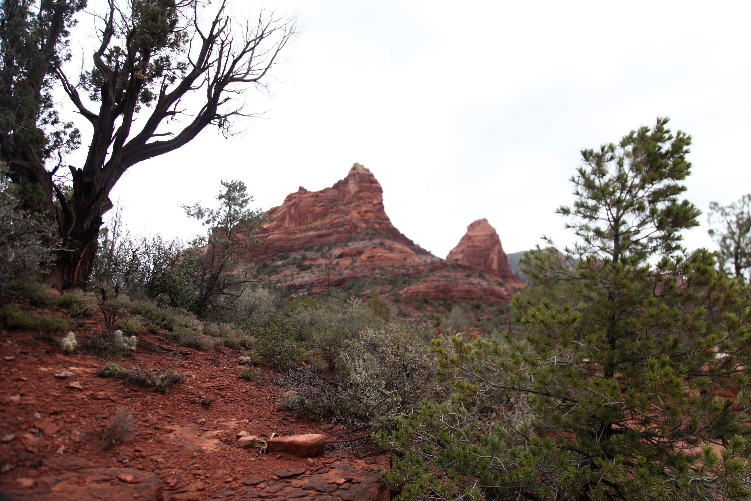 IMG_2141.jpg