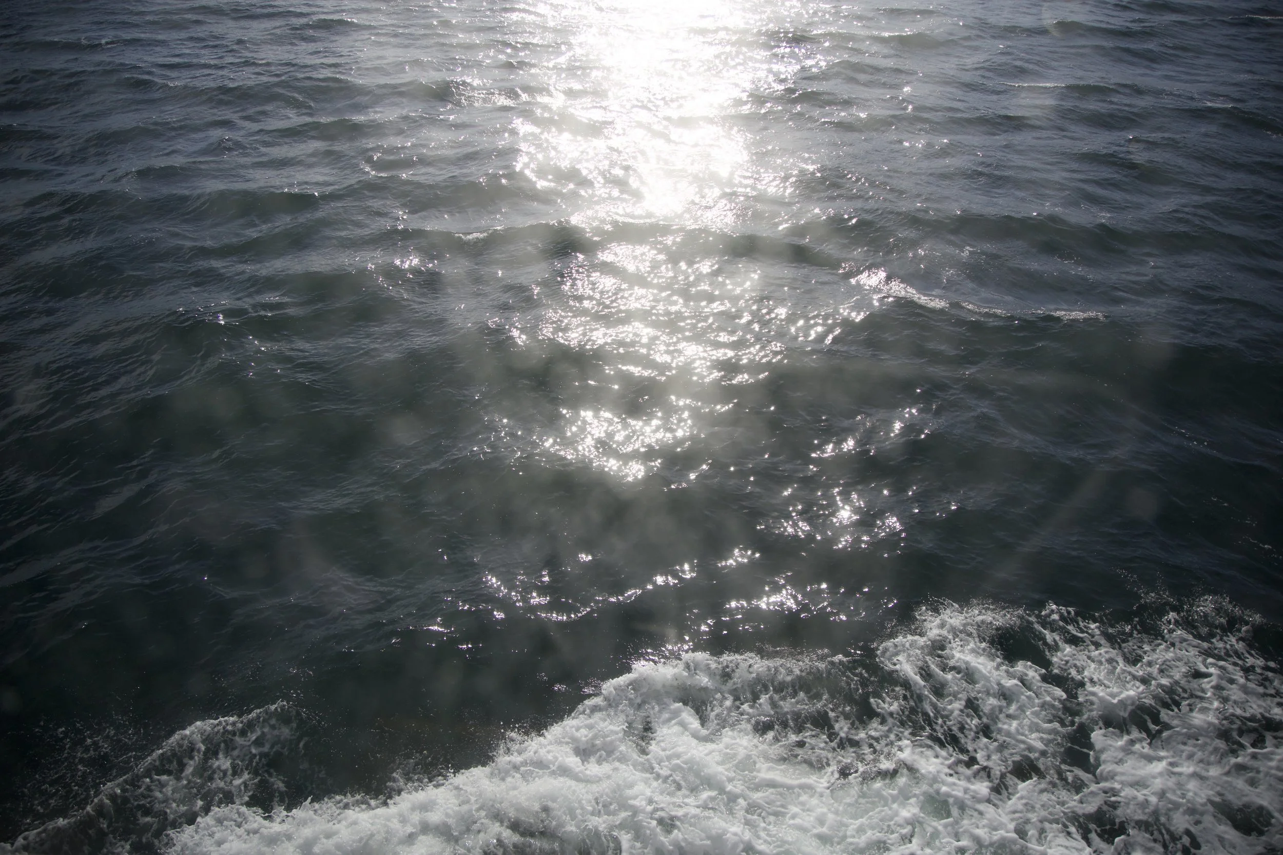 7I2A0149.jpg