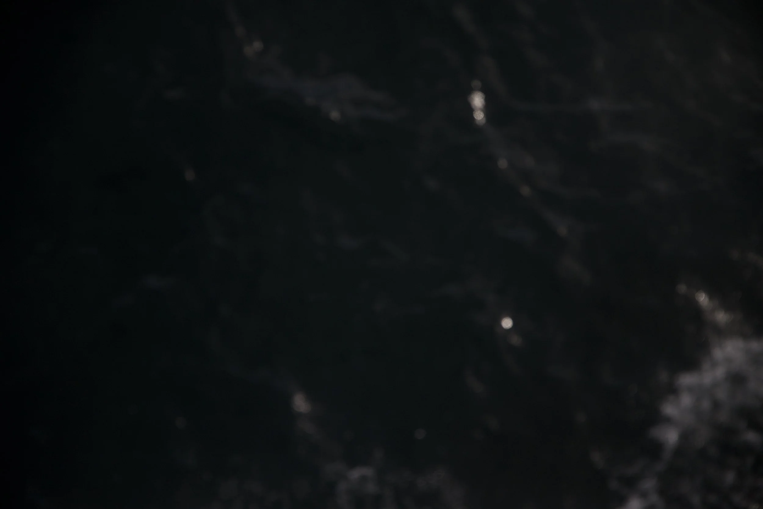7I2A0225.jpg