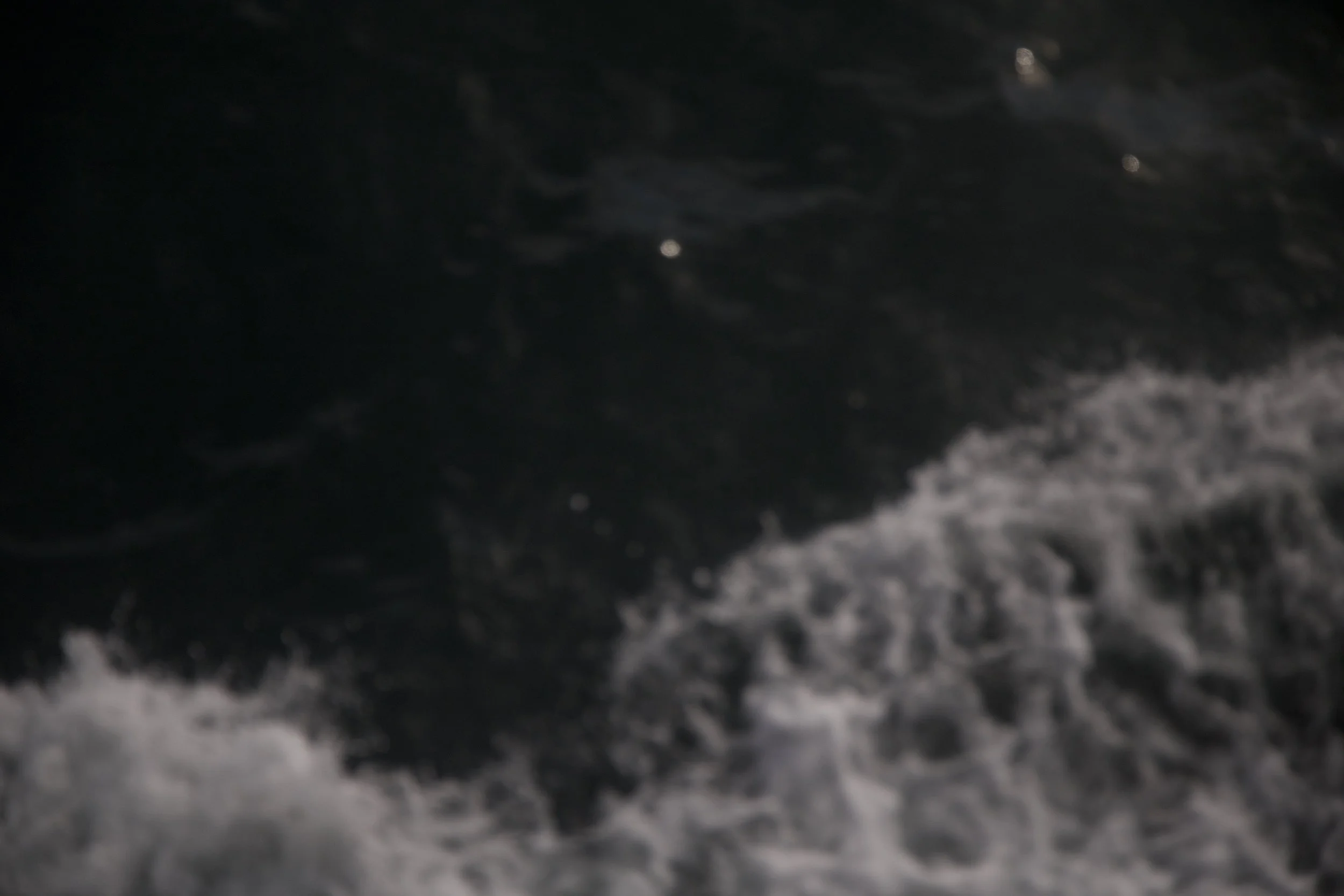 7I2A0227.jpg