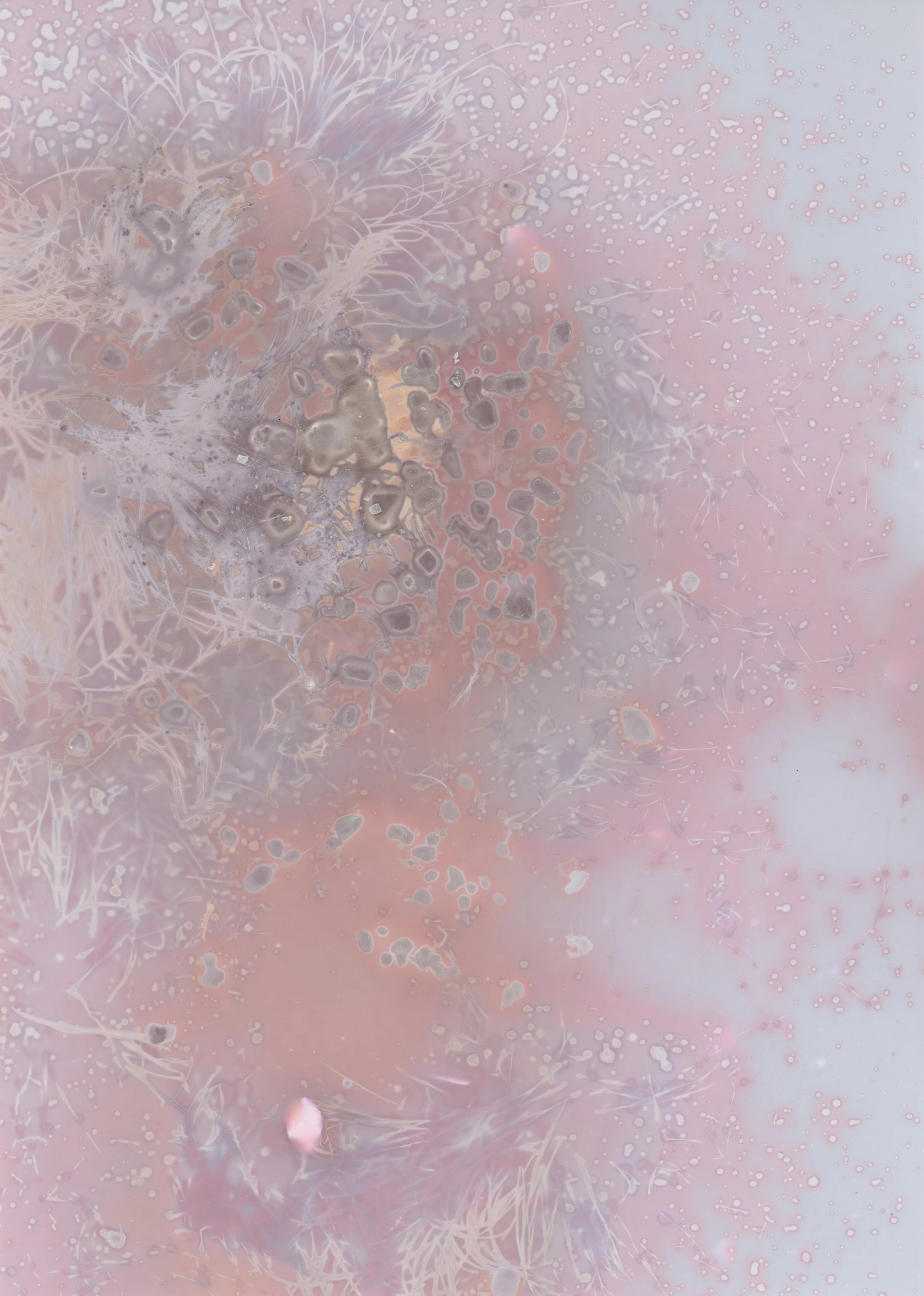 scans20260106_62 copy.jpg