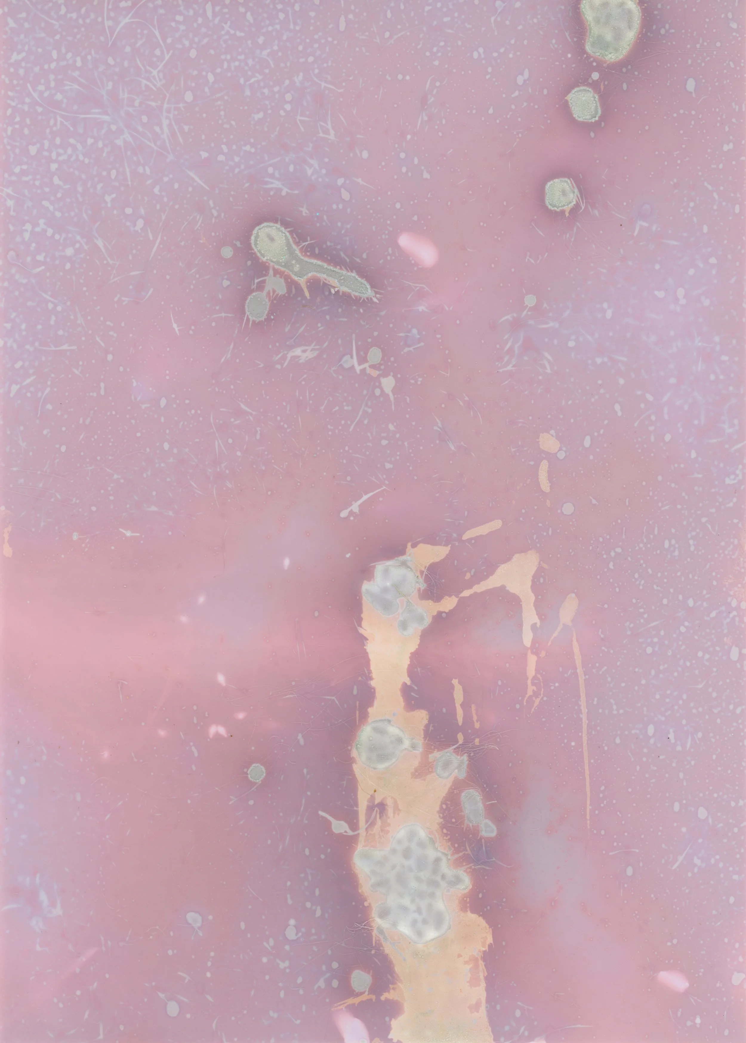 scans20260107_64 copy.jpg