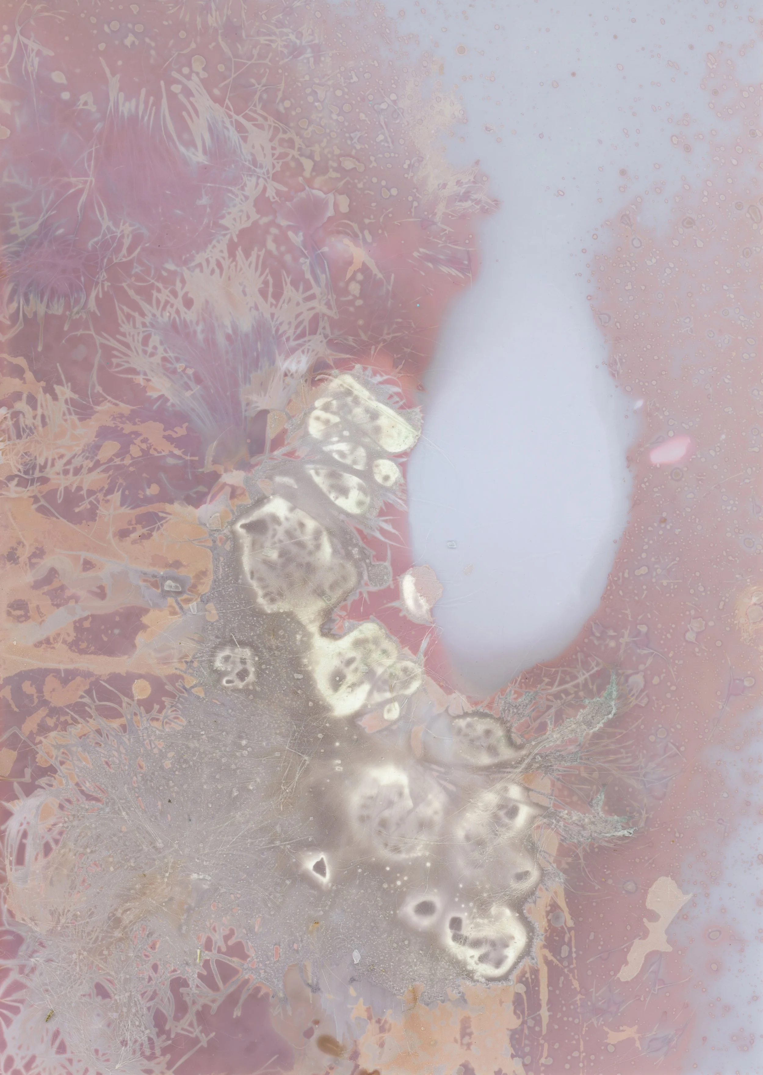 scans20260107_67 copy.jpg